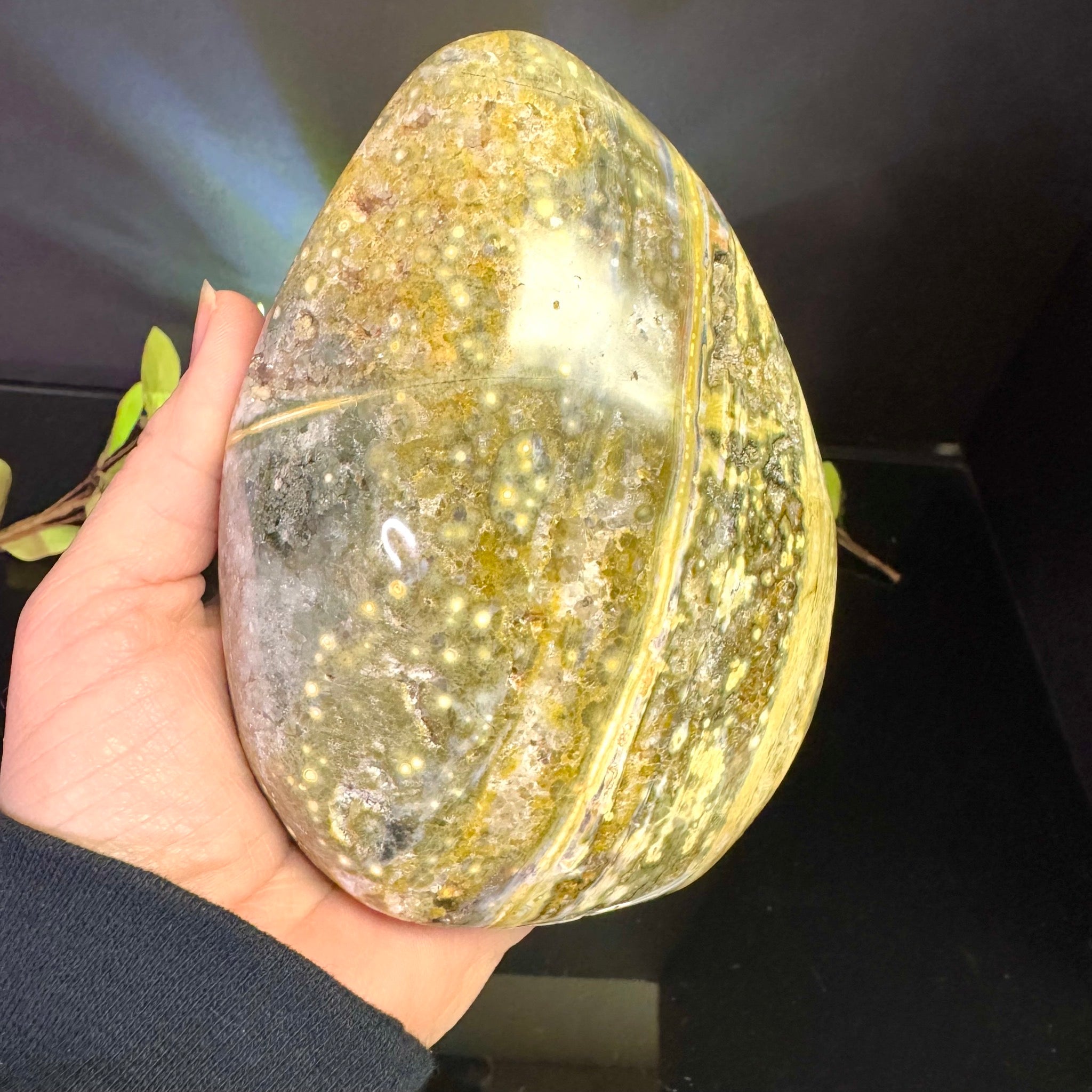 Ocean Jasper Free Form
