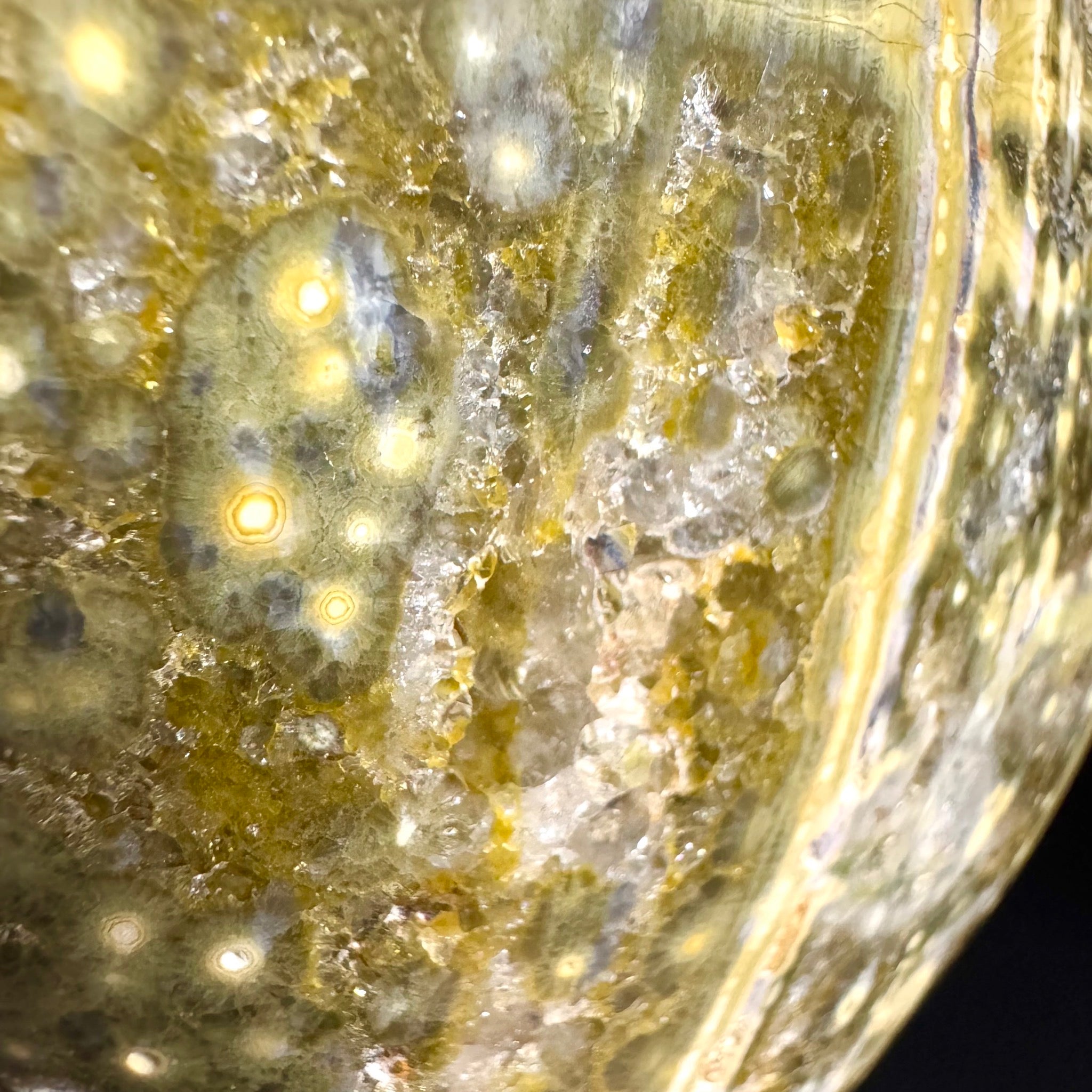 Ocean Jasper Free Form