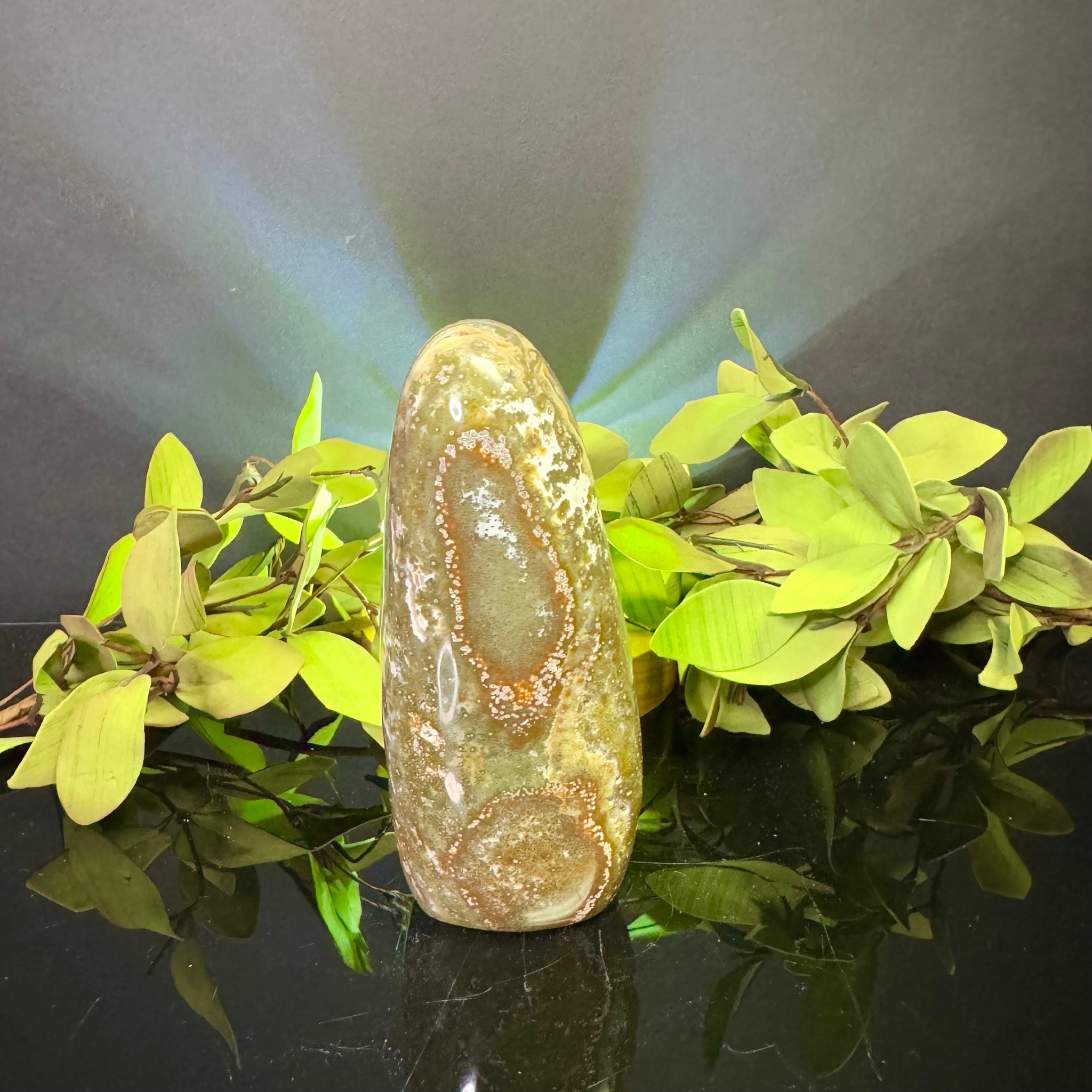 Ocean Jasper Free Form