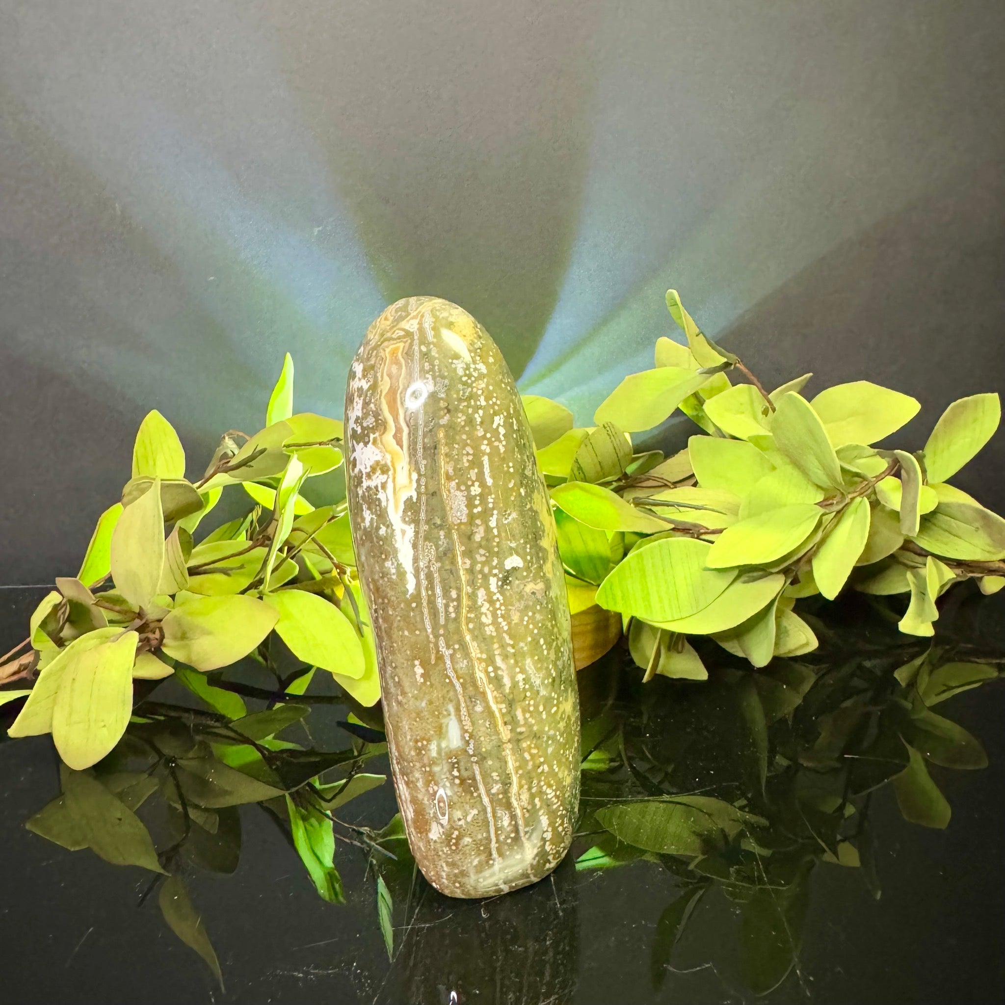 Ocean Jasper Free Form
