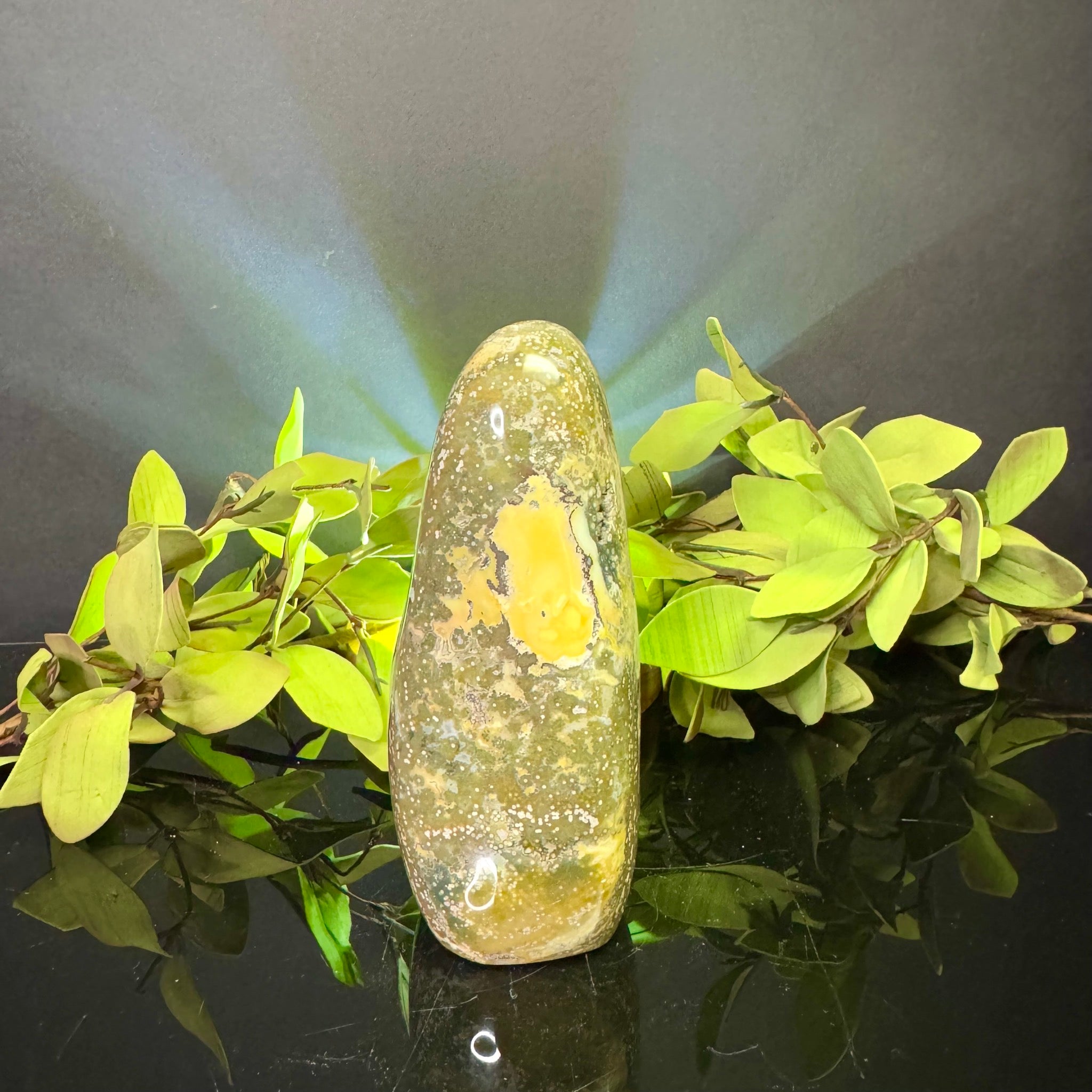 Ocean Jasper Free Form
