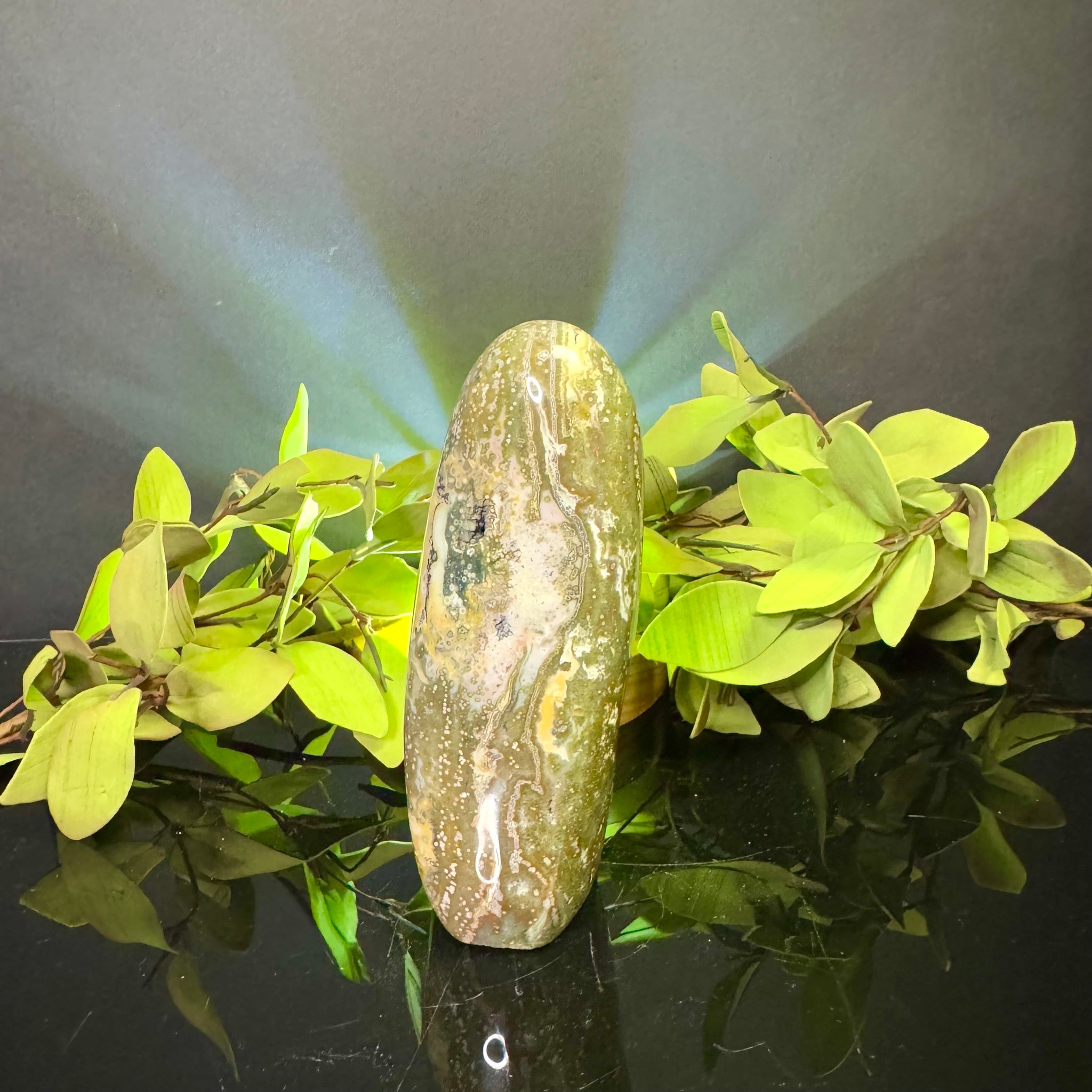Ocean Jasper Free Form