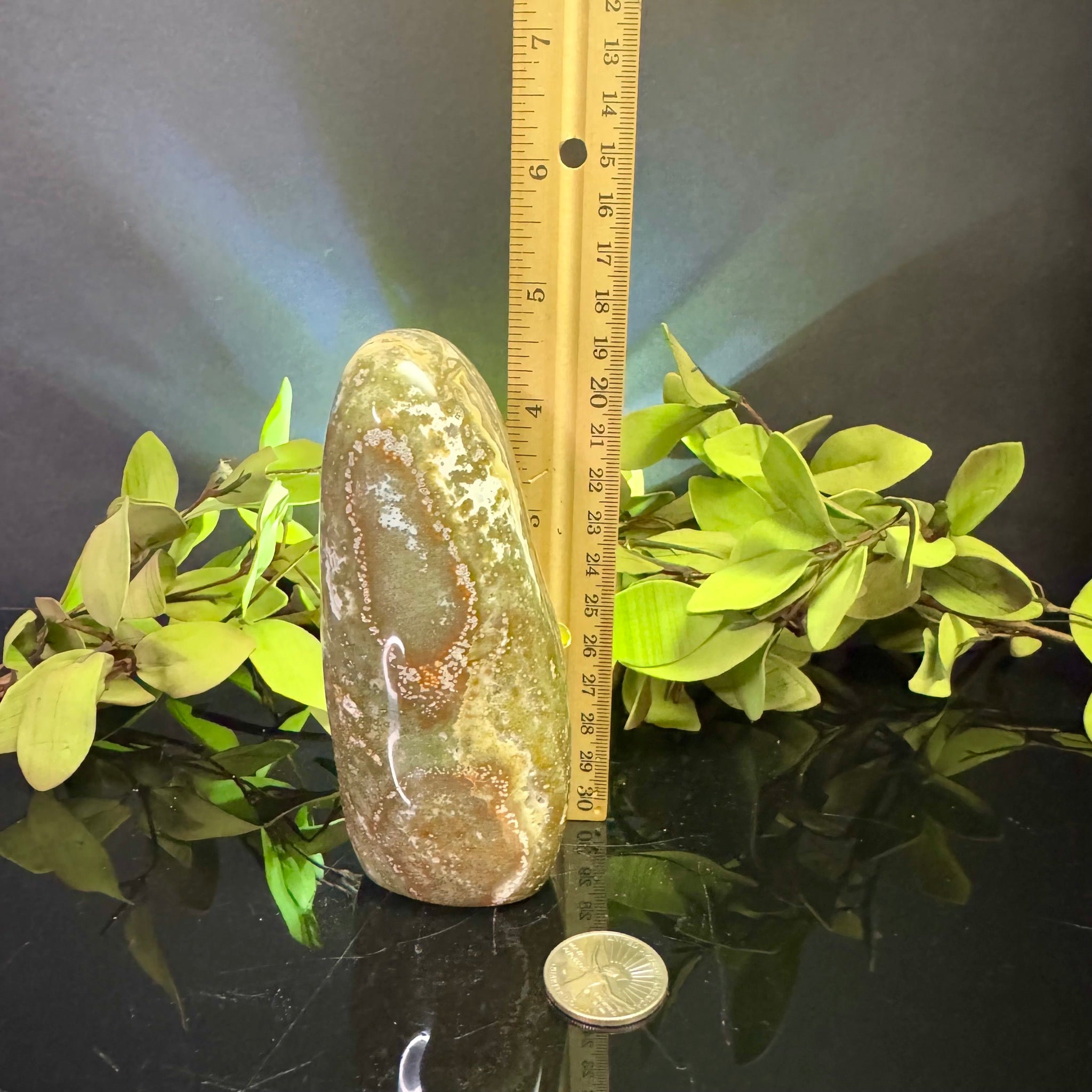 Ocean Jasper Free Form