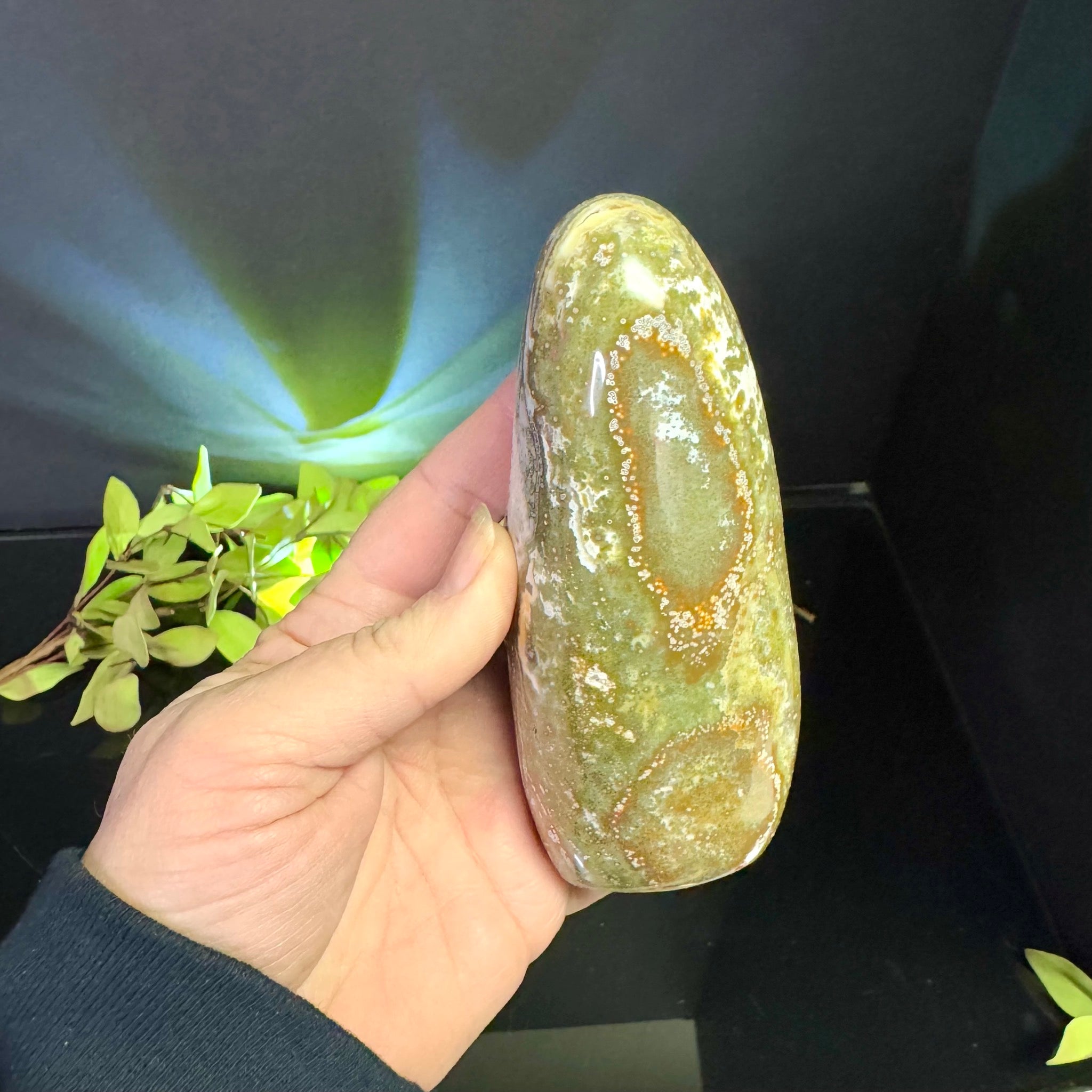Ocean Jasper Free Form