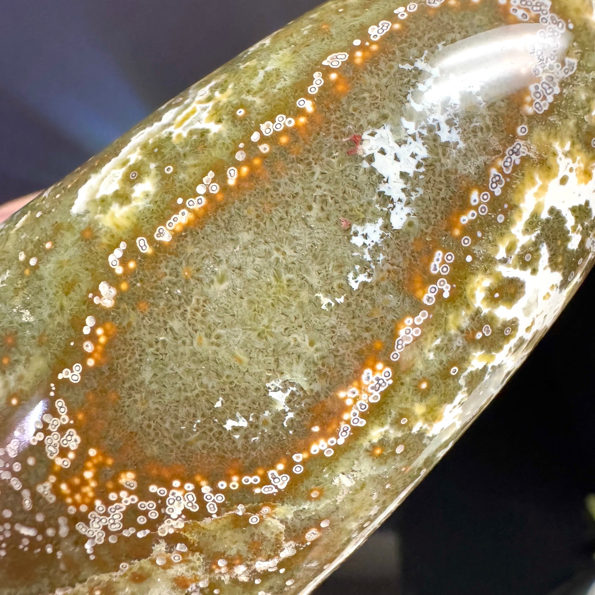 Ocean Jasper Free Form