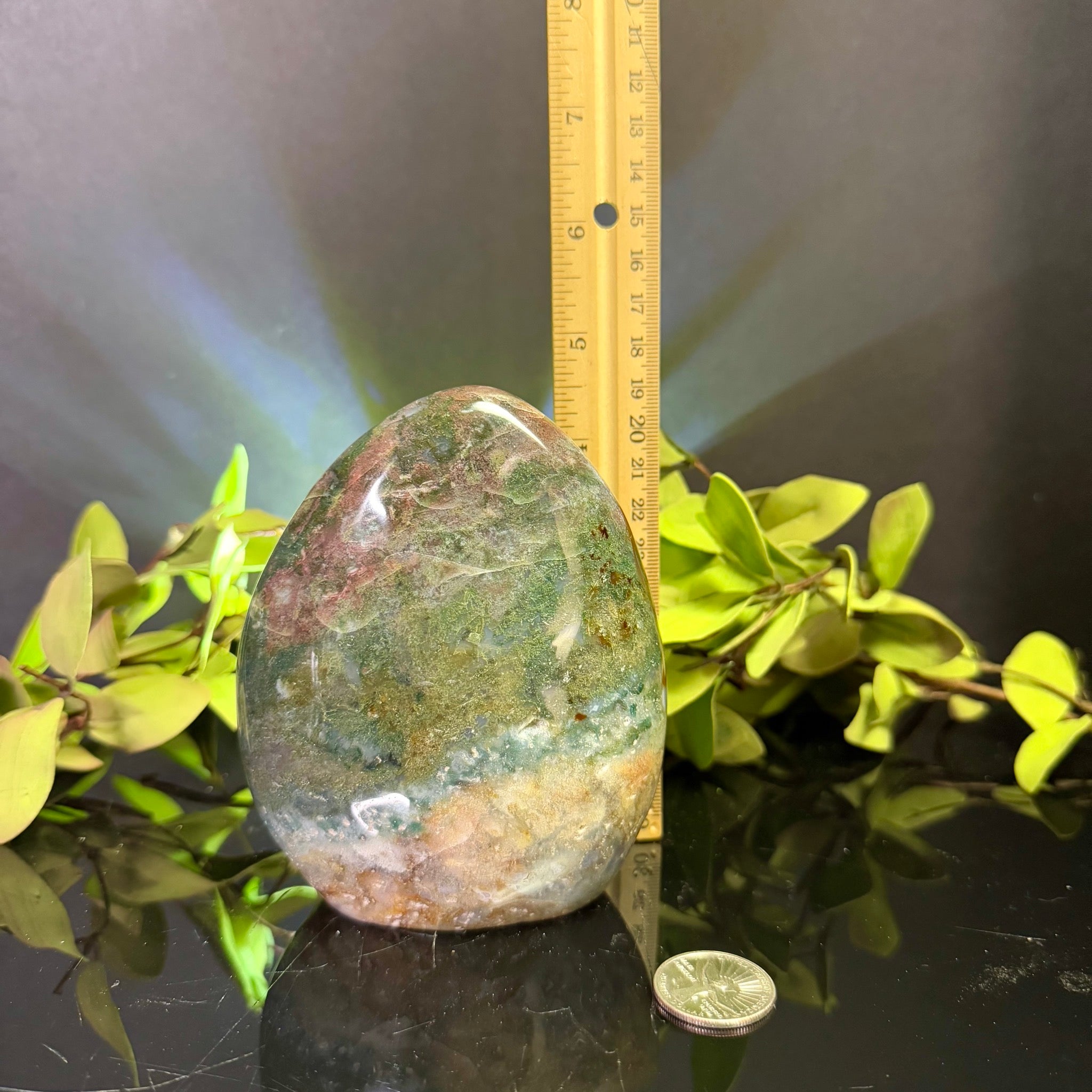 Ocean Jasper Free Form