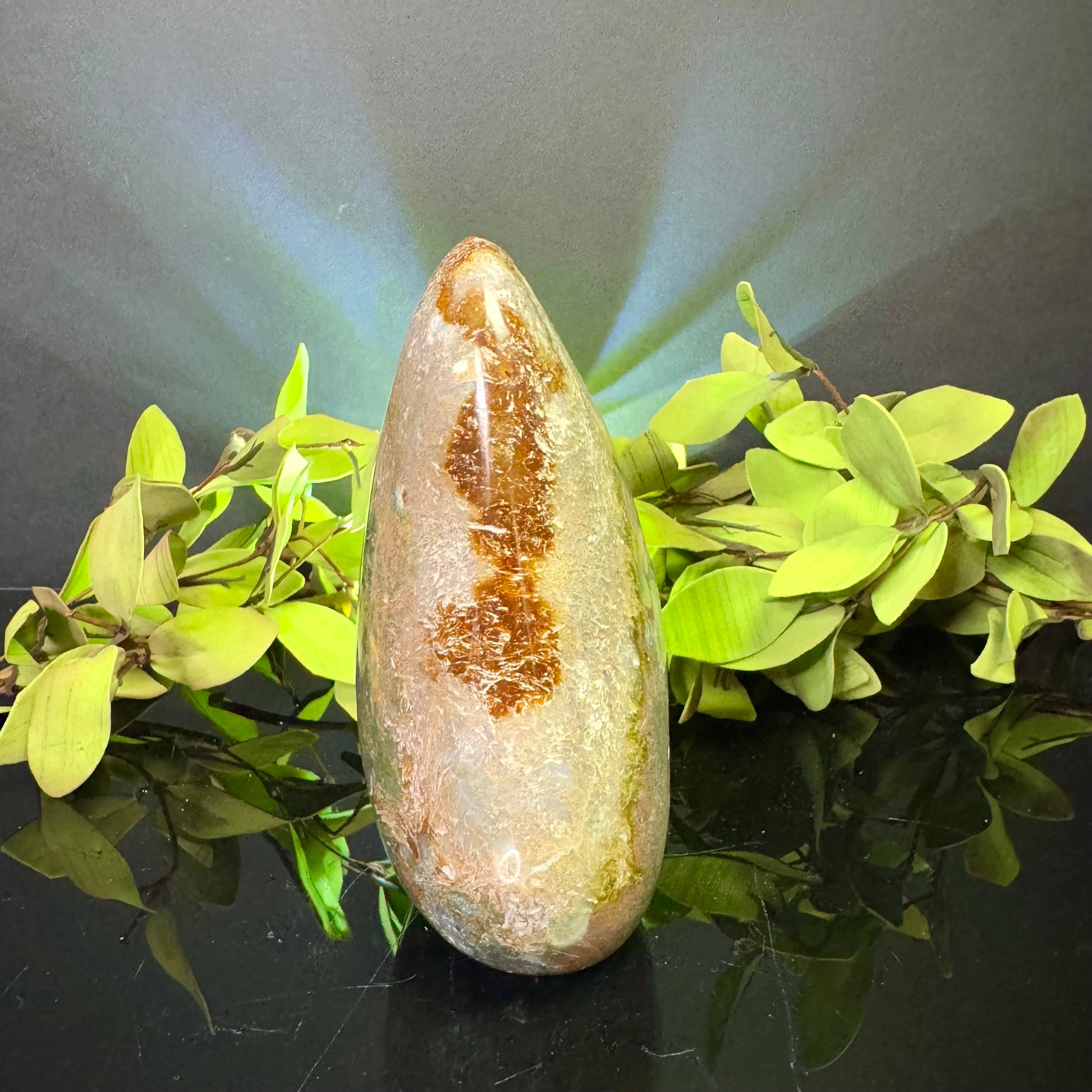 Ocean Jasper Free Form