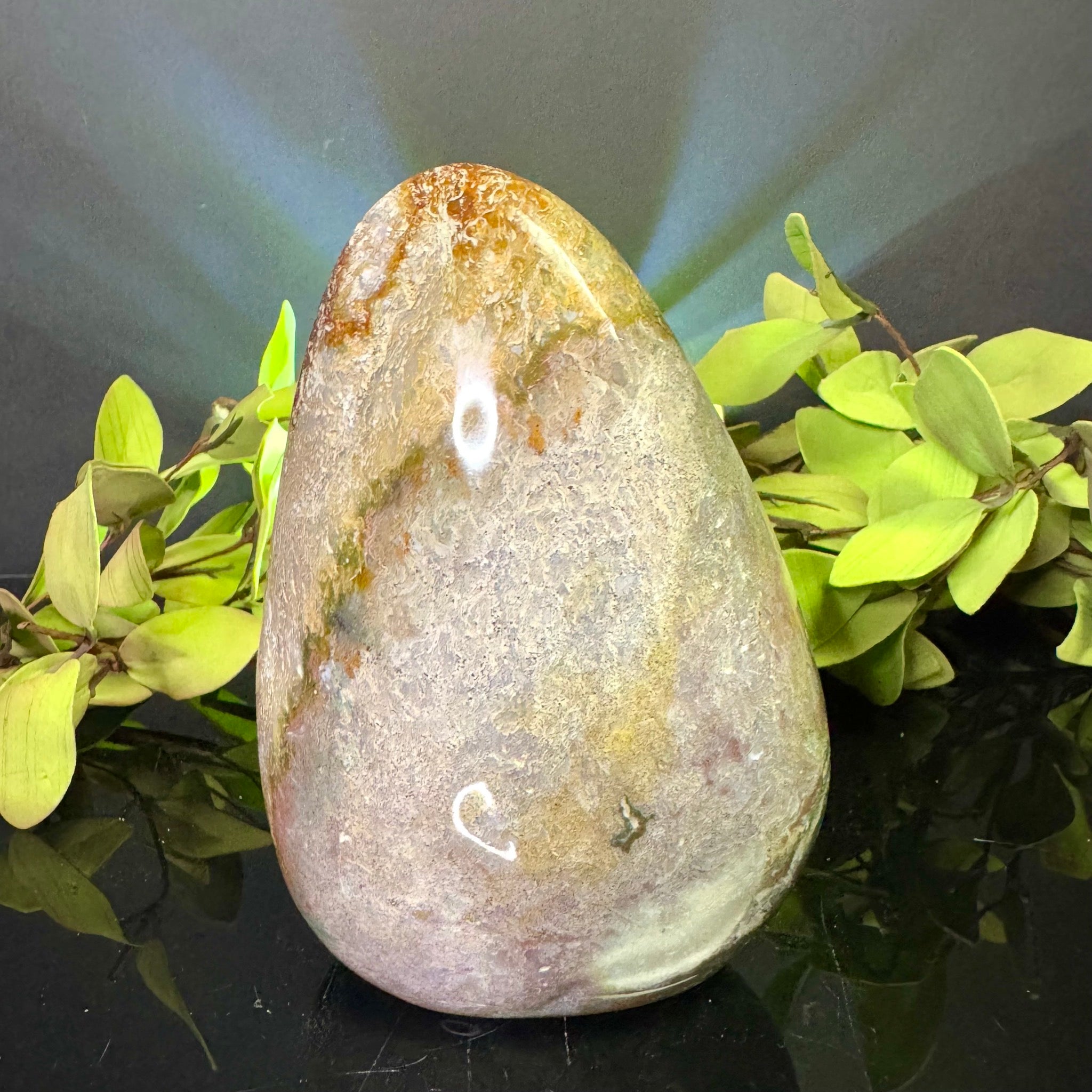 Ocean Jasper Free Form