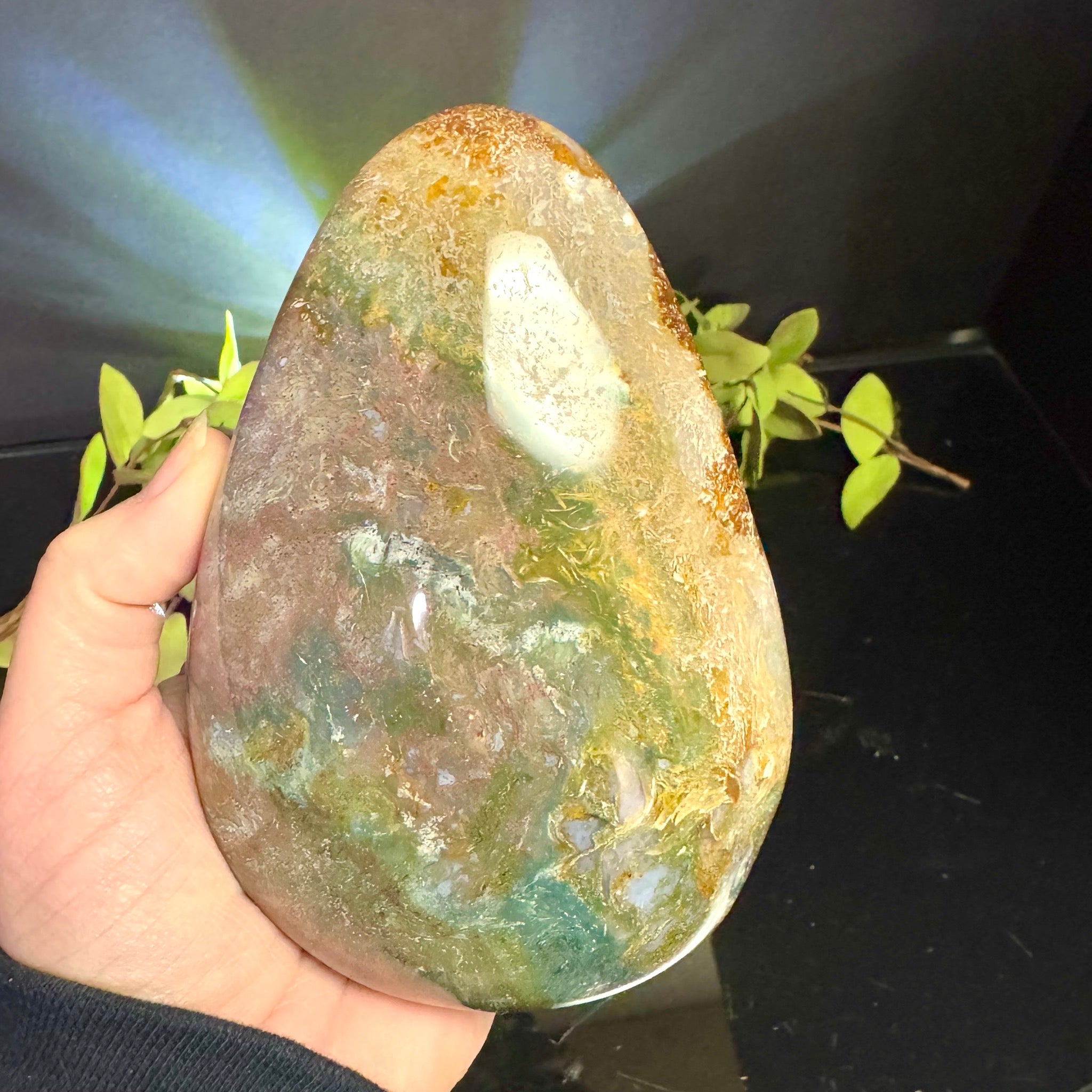 Ocean Jasper Free Form