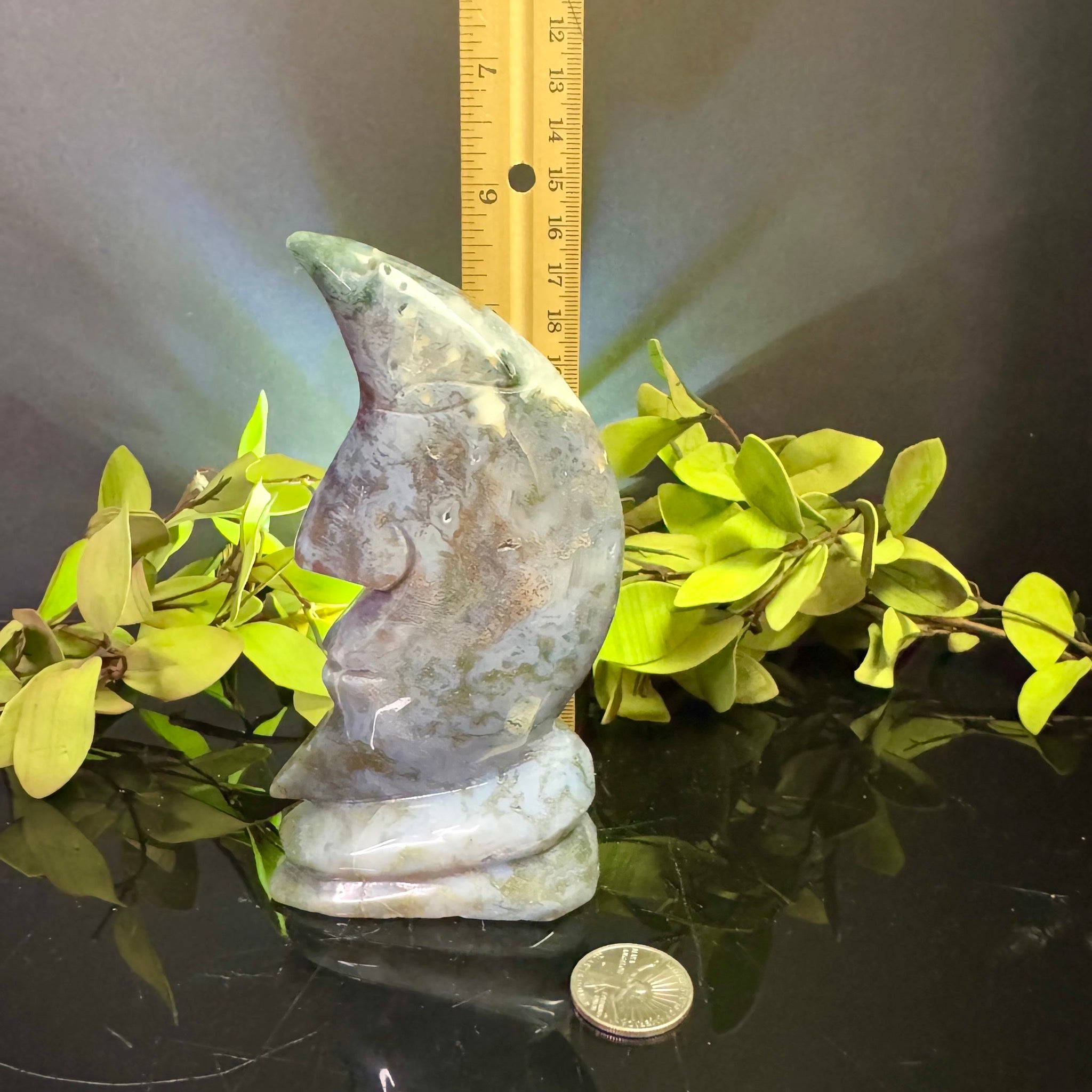 Ocean Jasper Moon Face Carving