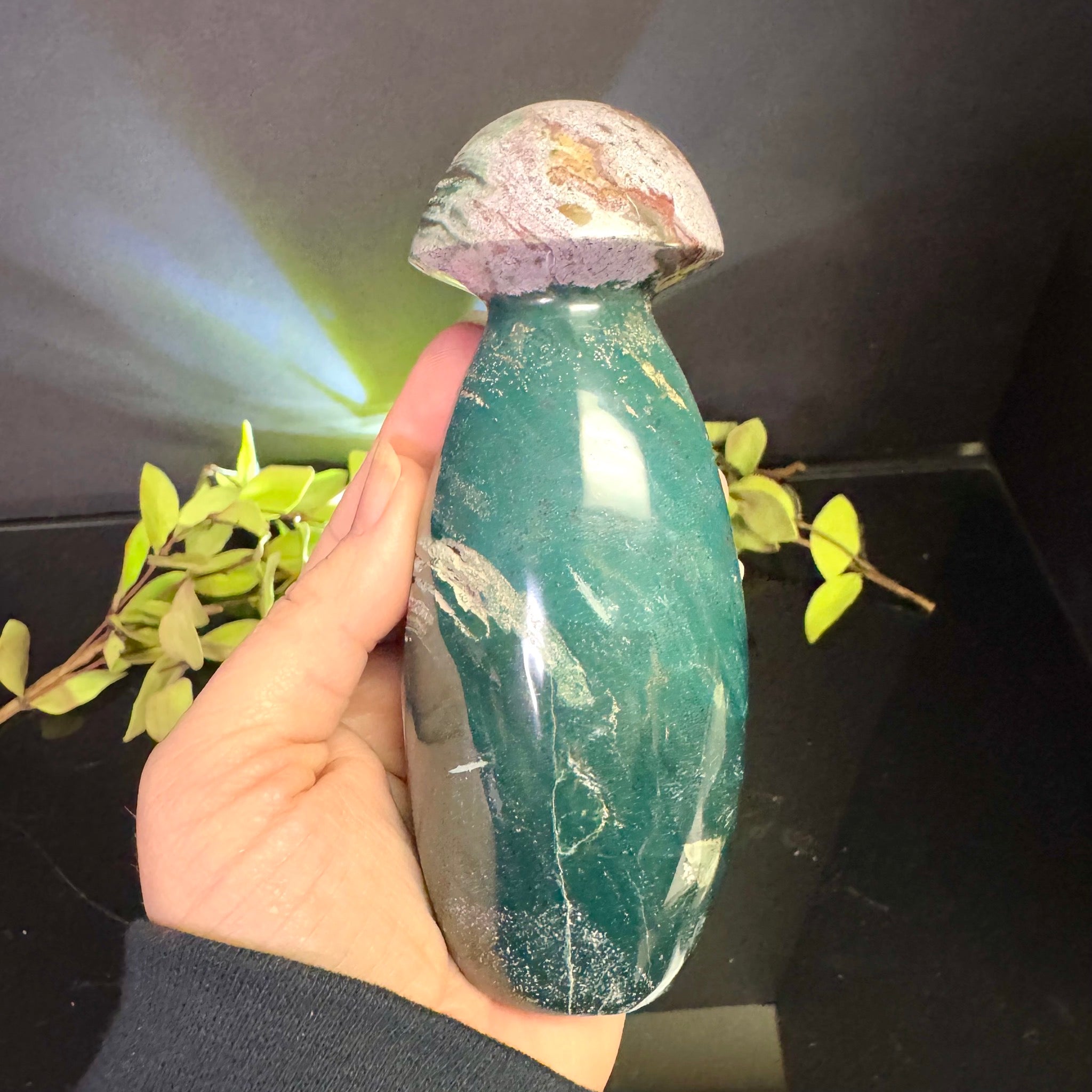 Ocean Jasper Mushroom