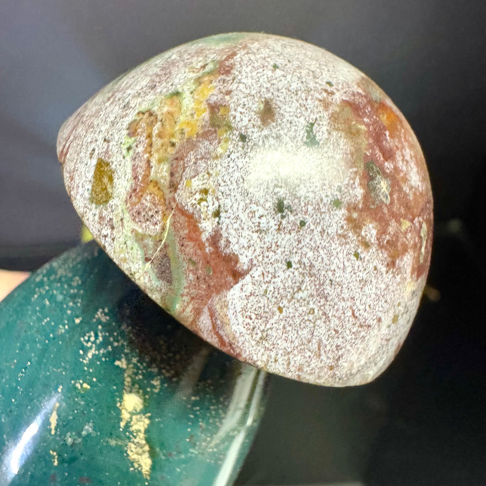 Ocean Jasper Mushroom