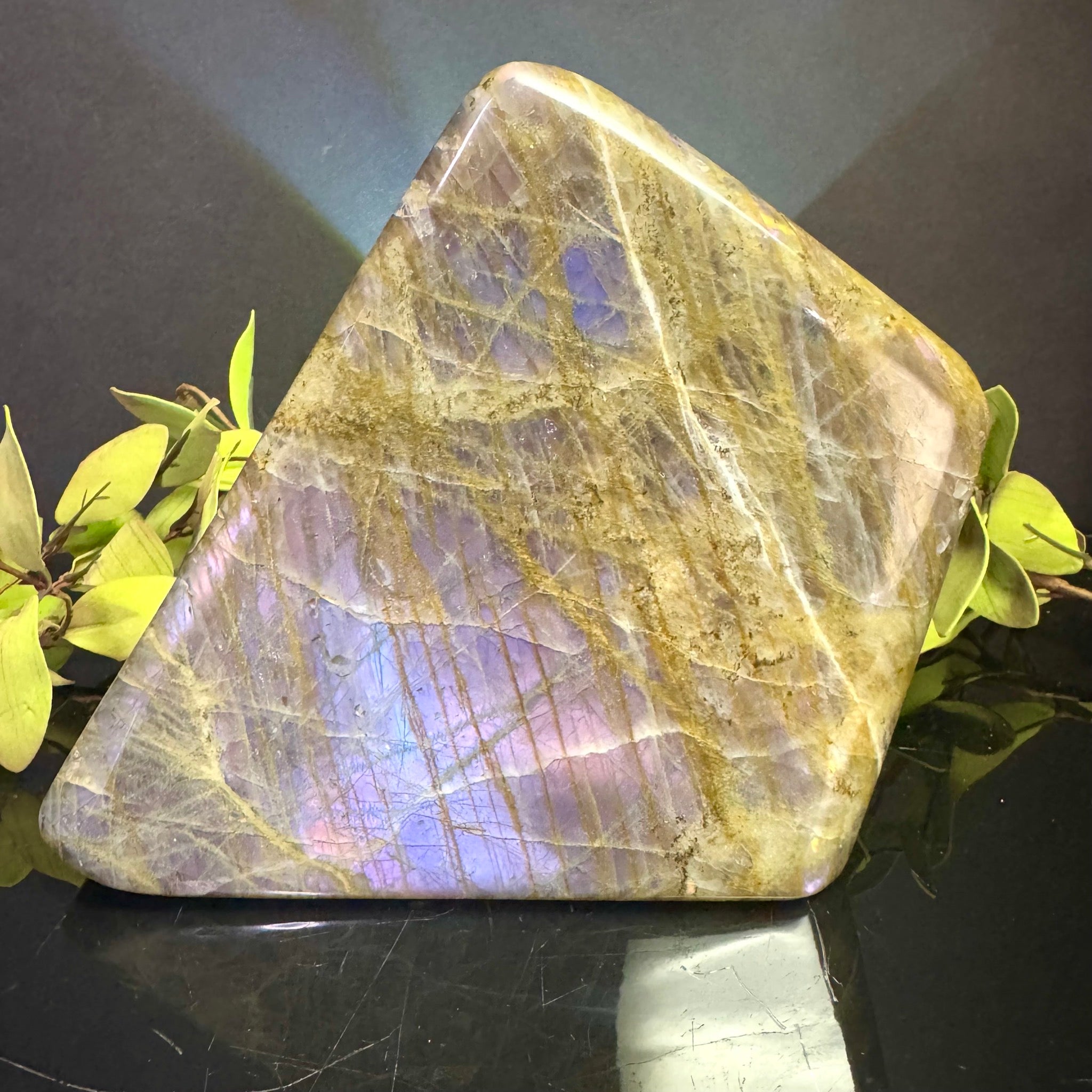 Purple Flash Labradorite Free Form