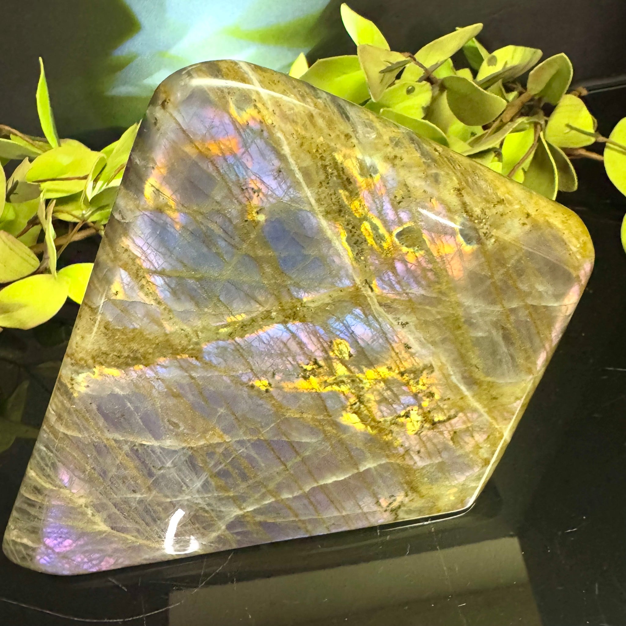 Purple Flash Labradorite Free Form