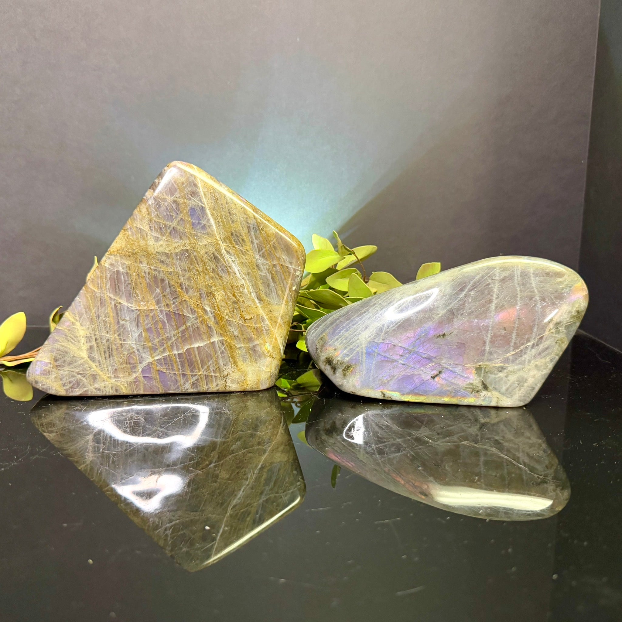 Purple Flash Labradorite Free Form