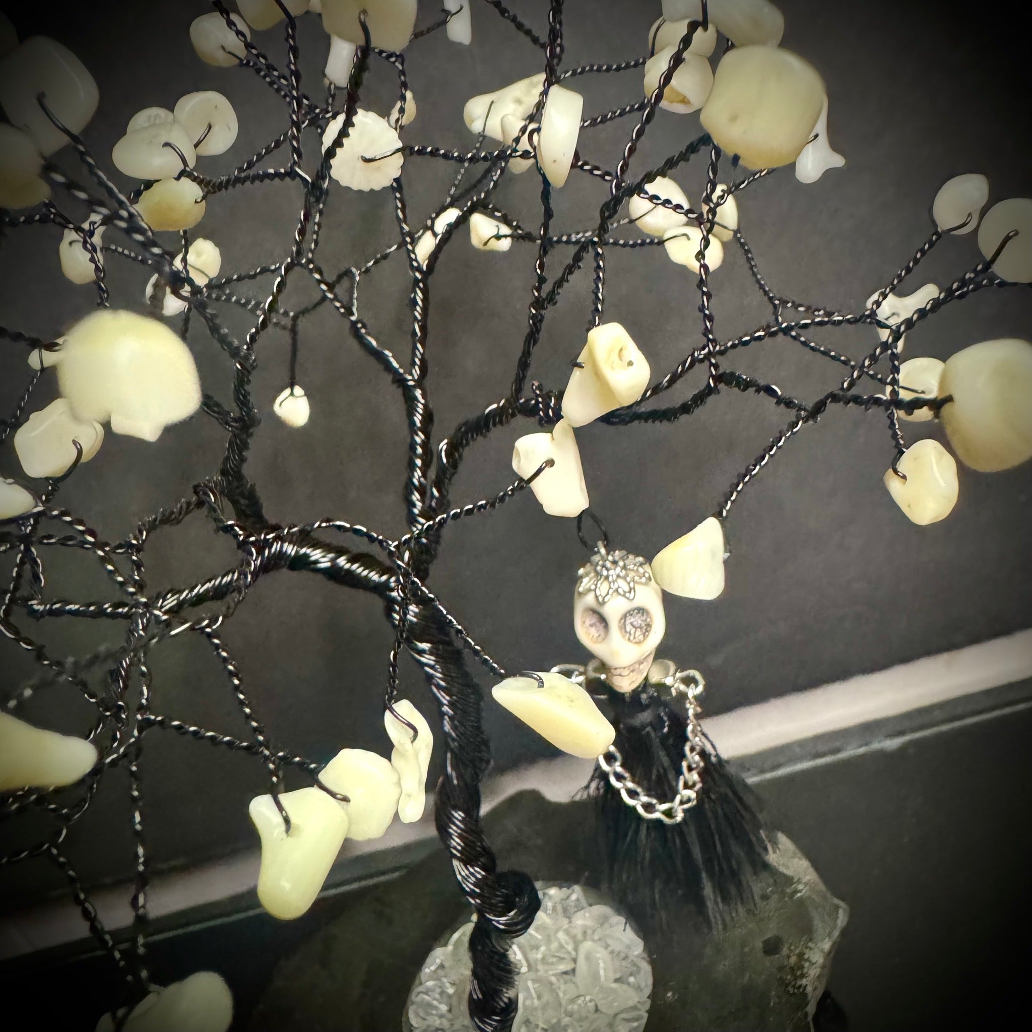 Coral on Black Tourmaline Mojo Tree