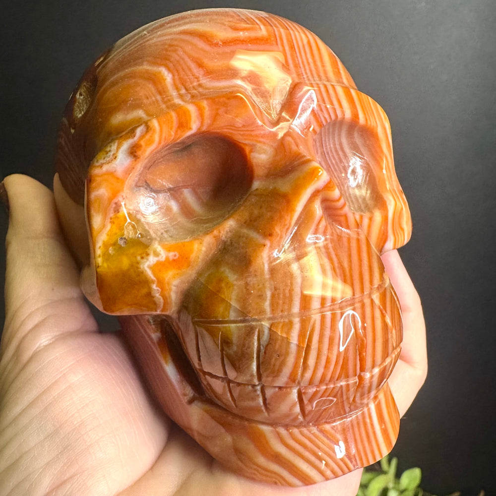 Sardonyx Carved Skull
