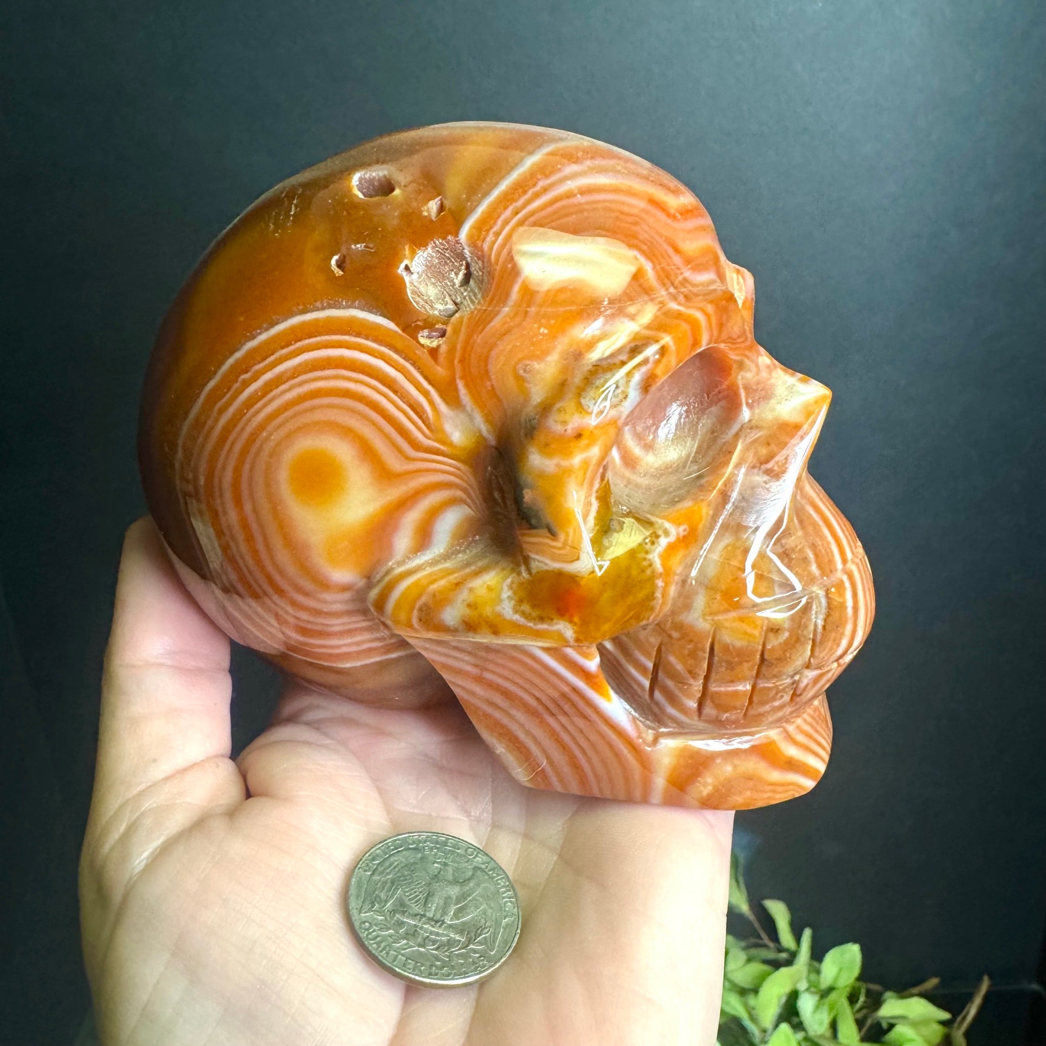 Sardonyx Carved Skull