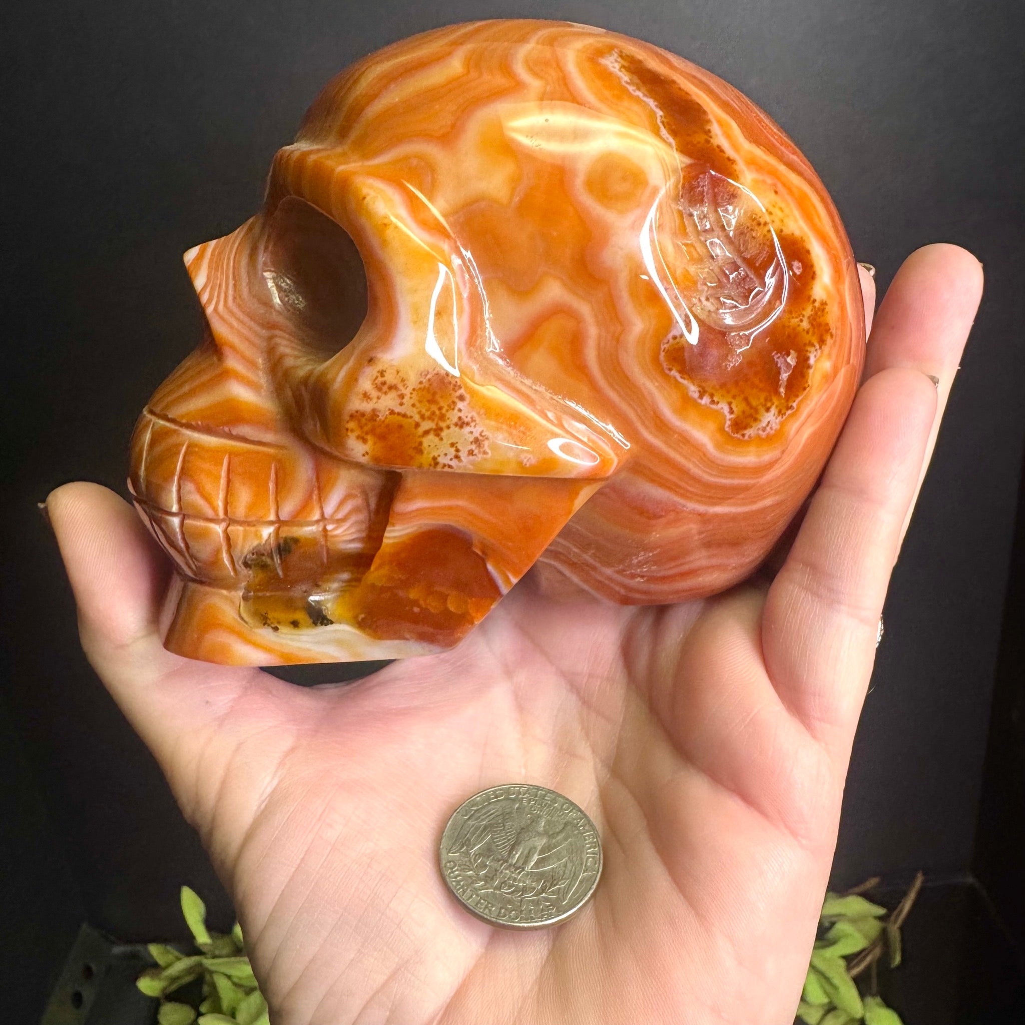 Sardonyx Carved Skull