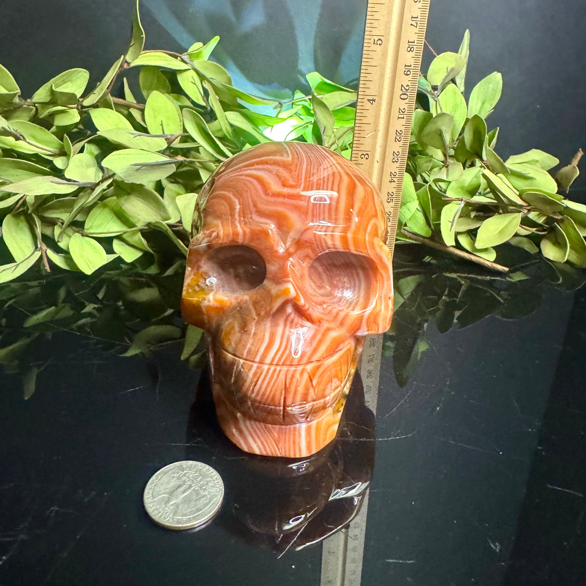 Sardonyx Carved Skull