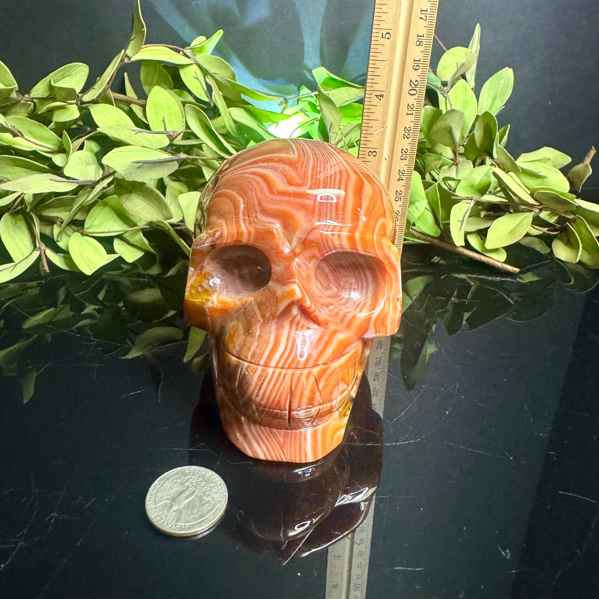 Sardonyx Carved Skull