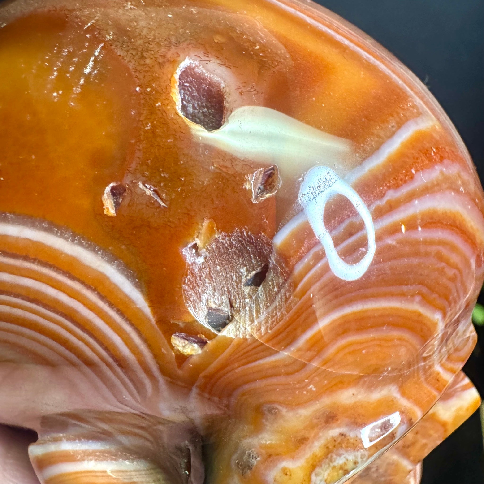 Sardonyx Carved Skull