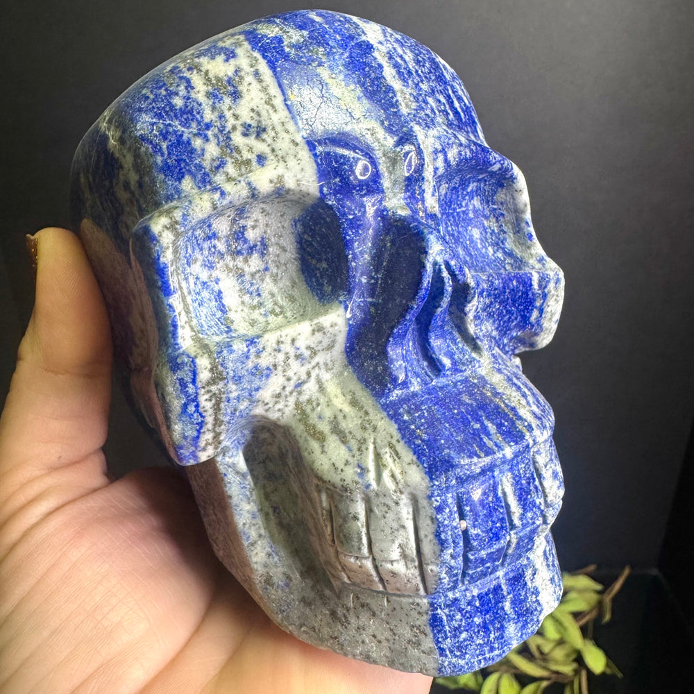 Lapis Lazuli Skull