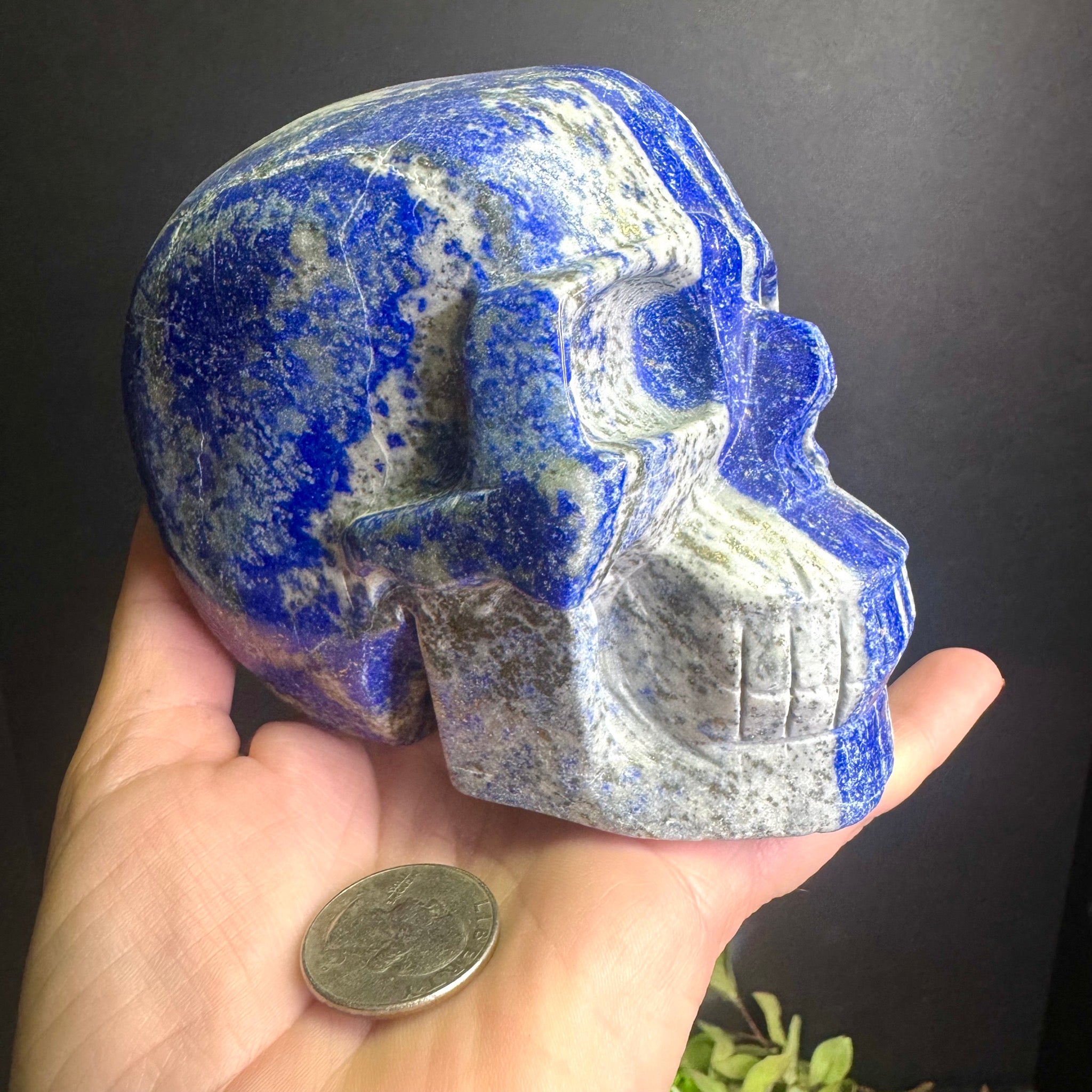 Lapis Lazuli Skull