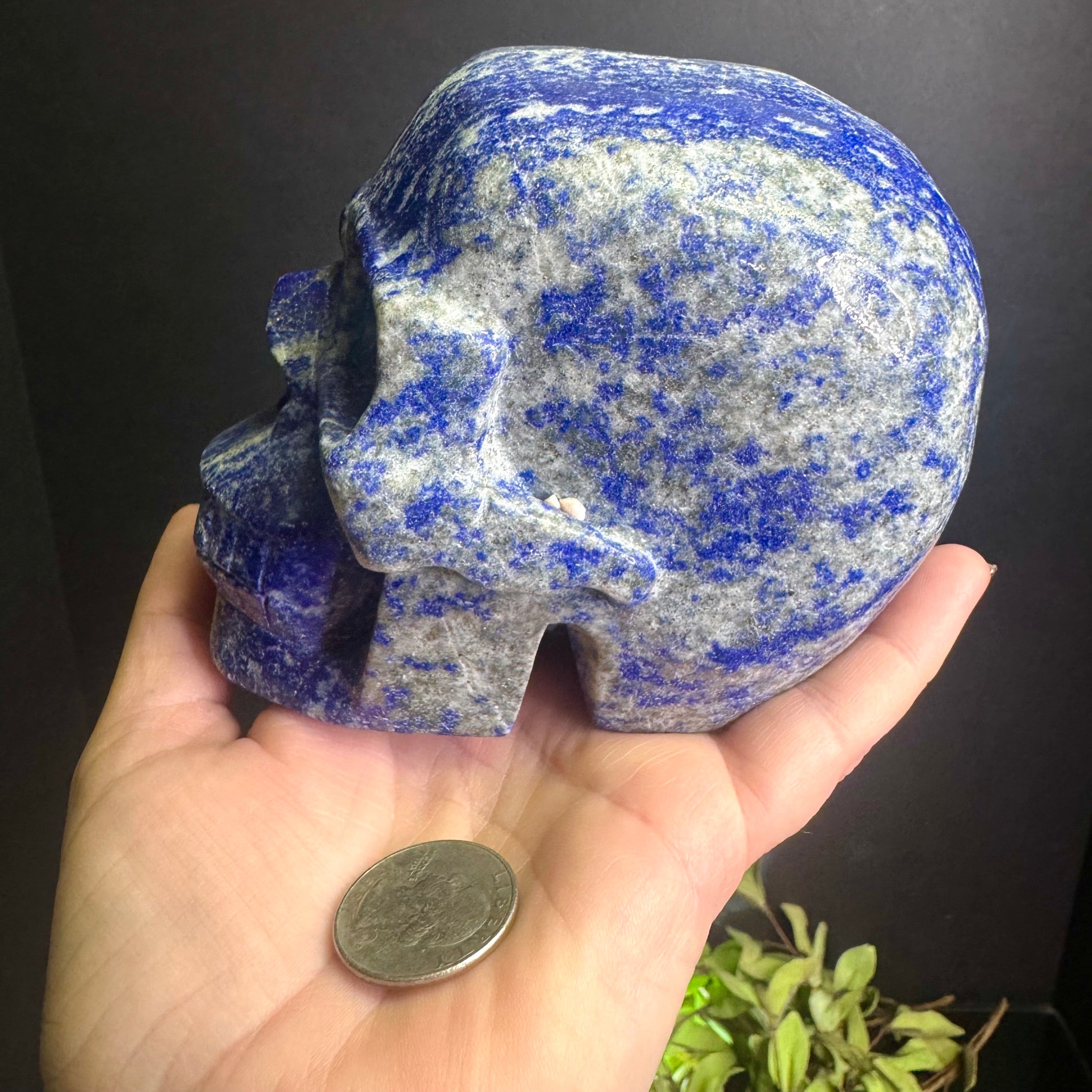Lapis Lazuli Skull