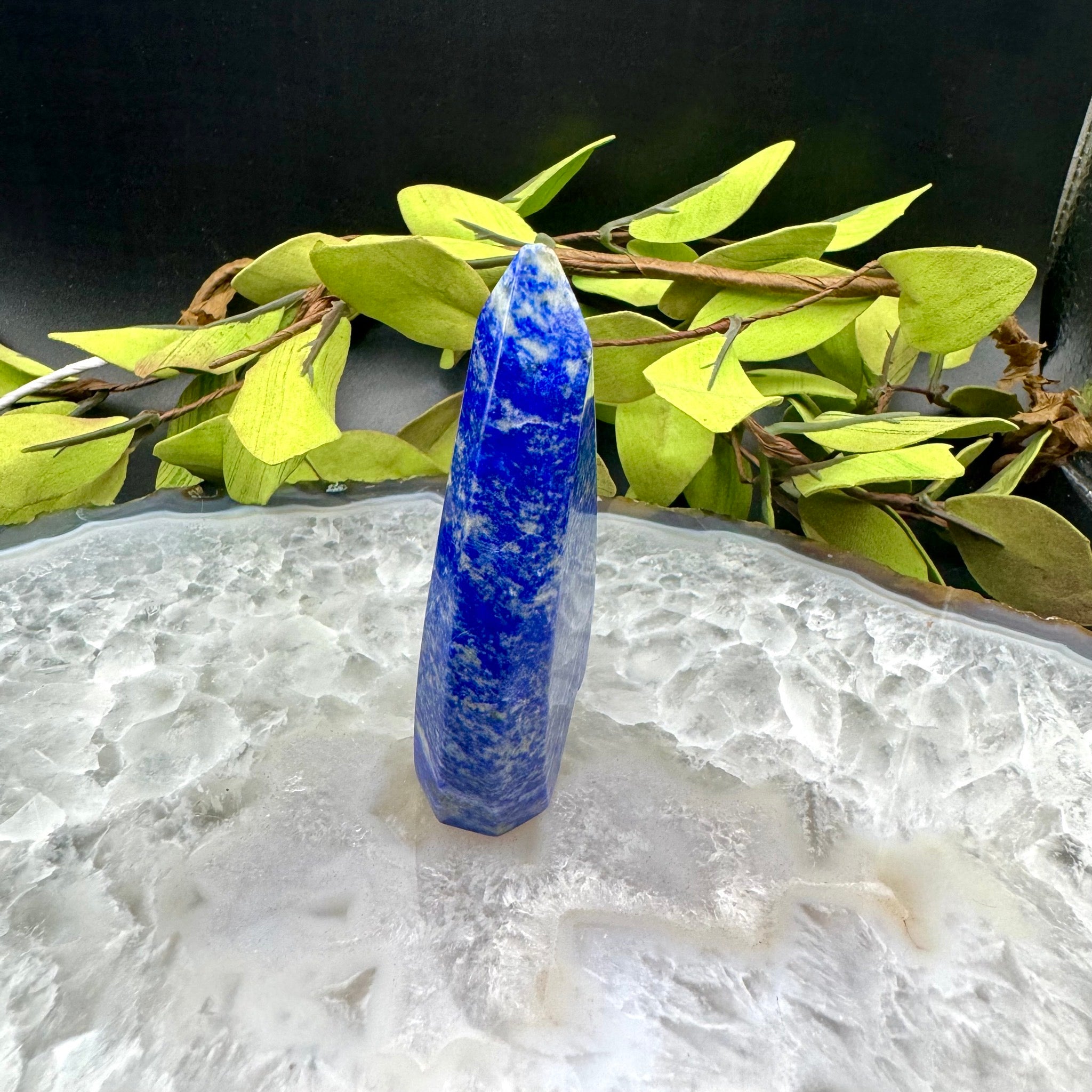 Lapis Lazuli Teardrop Free Form