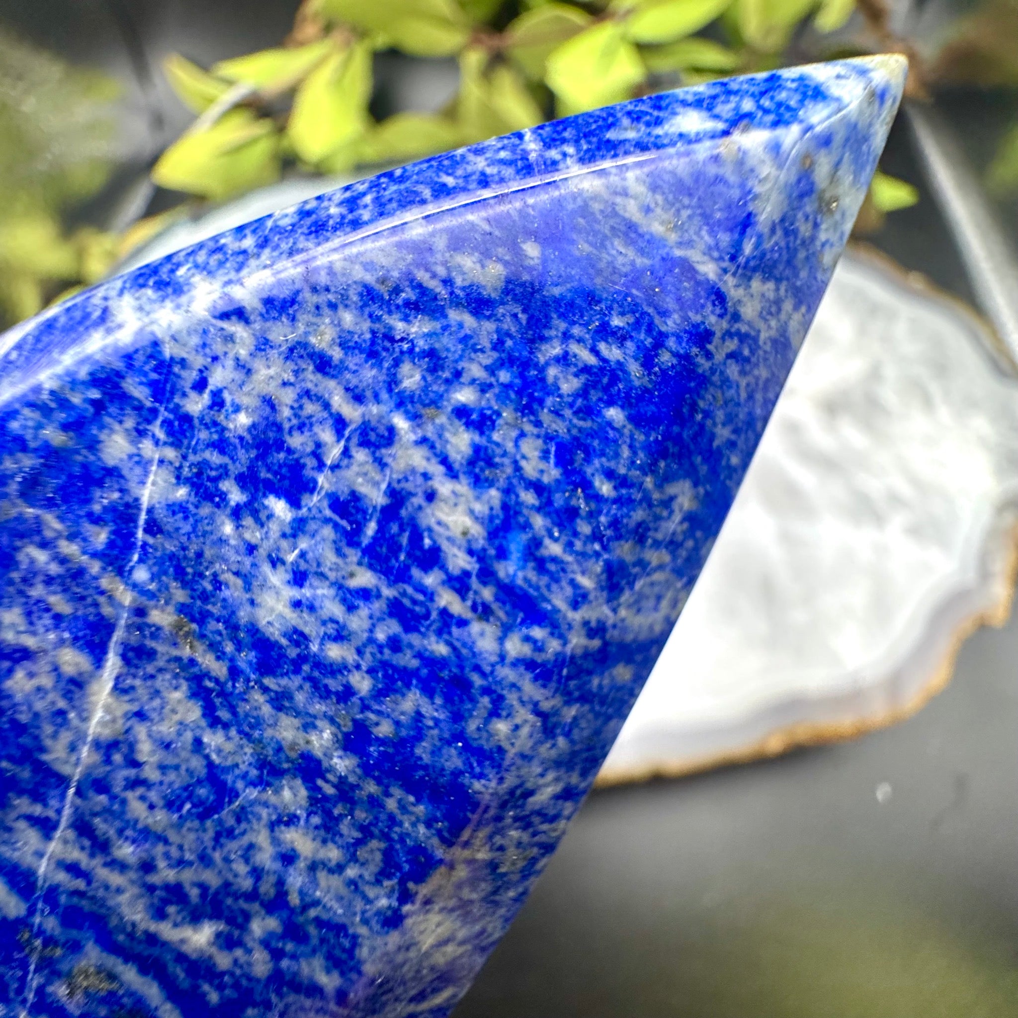 Lapis Lazuli Teardrop Free Form