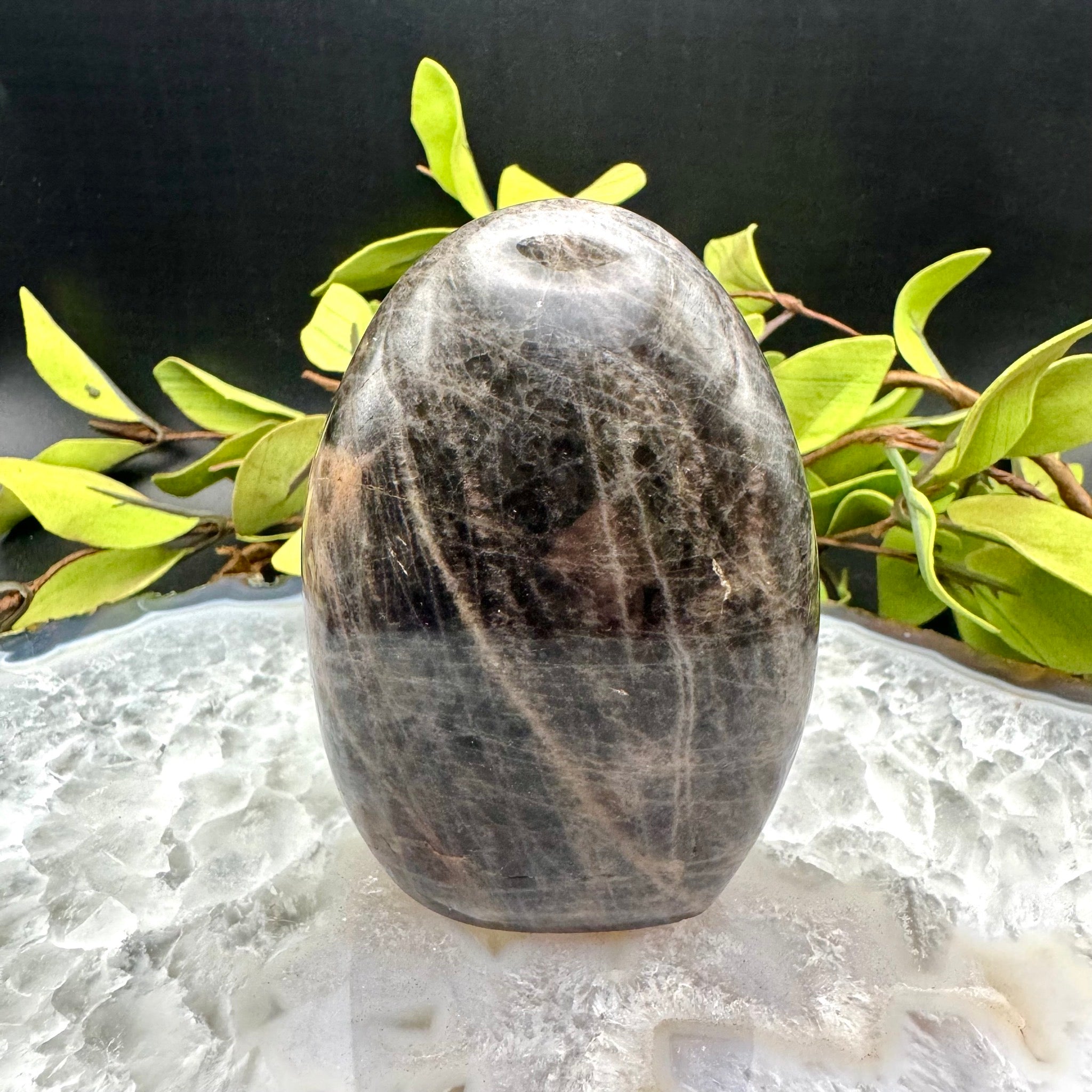 Black Moonstone Free Form