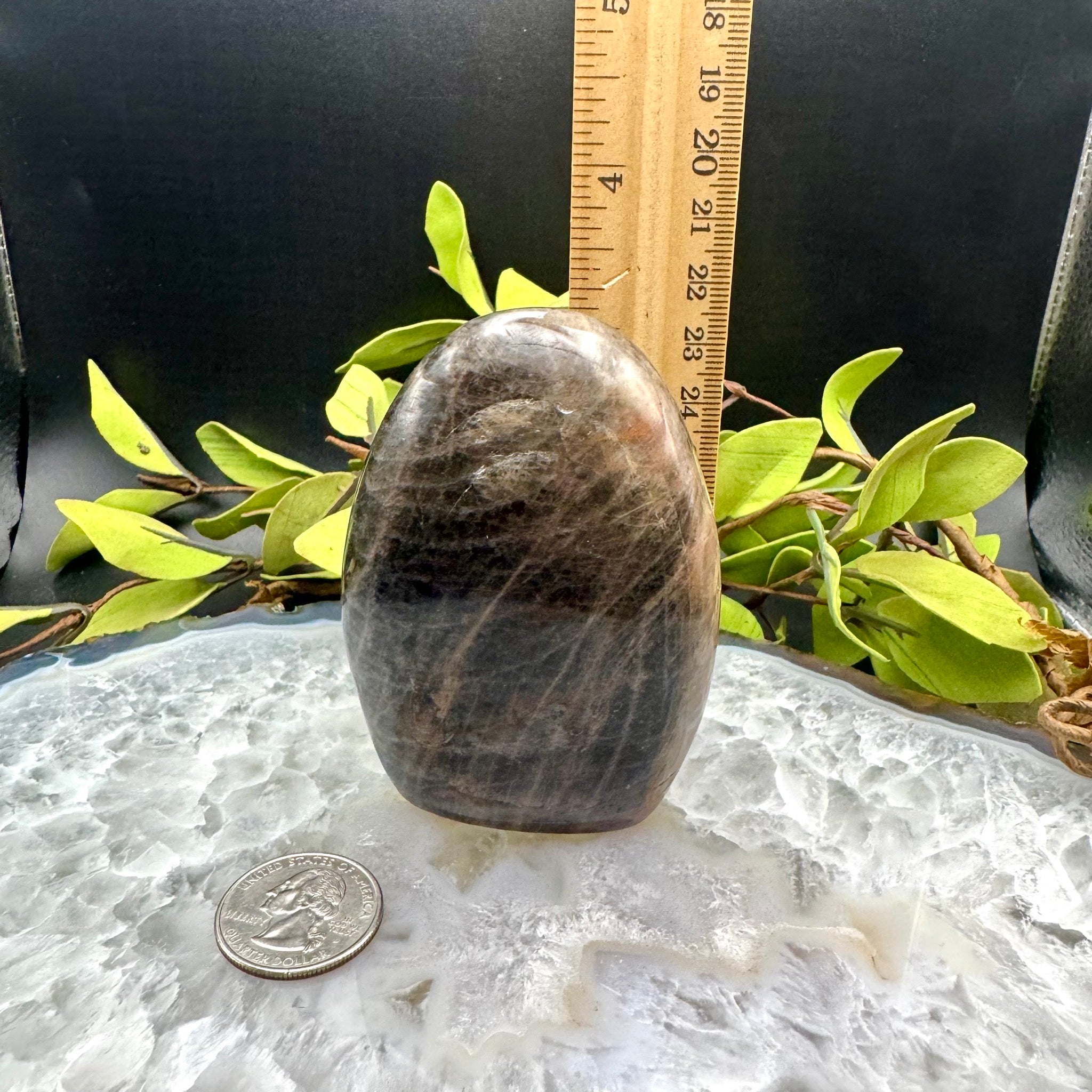 Black Moonstone Free Form