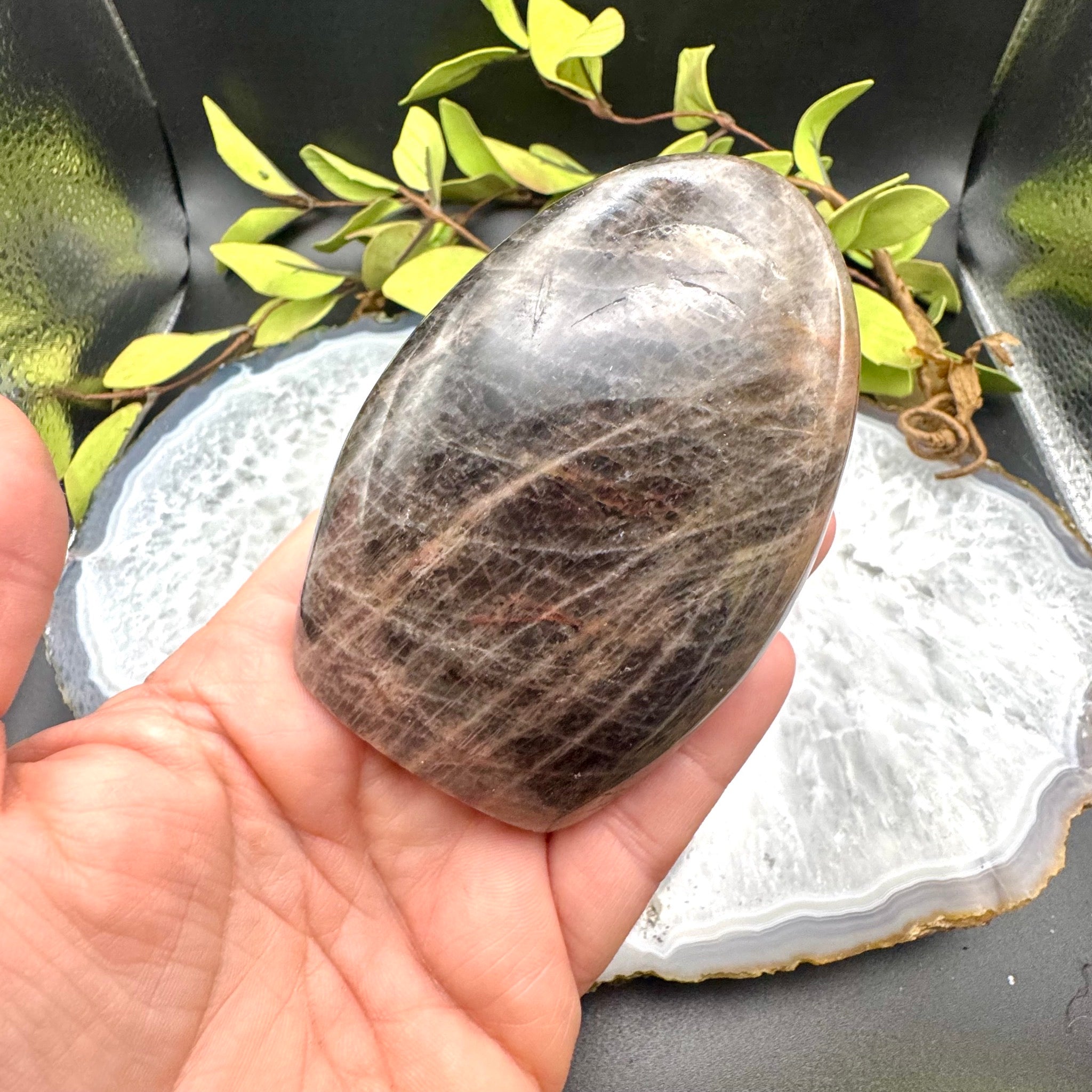 Black Moonstone Free Form