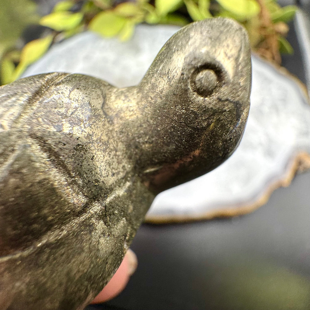 Pyrite Carved Turtle