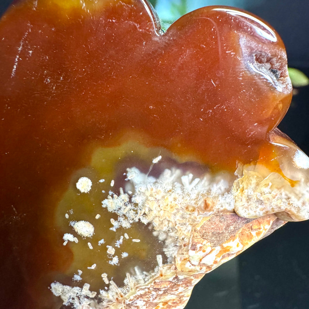 Carnelian Hamsa Hand Carving