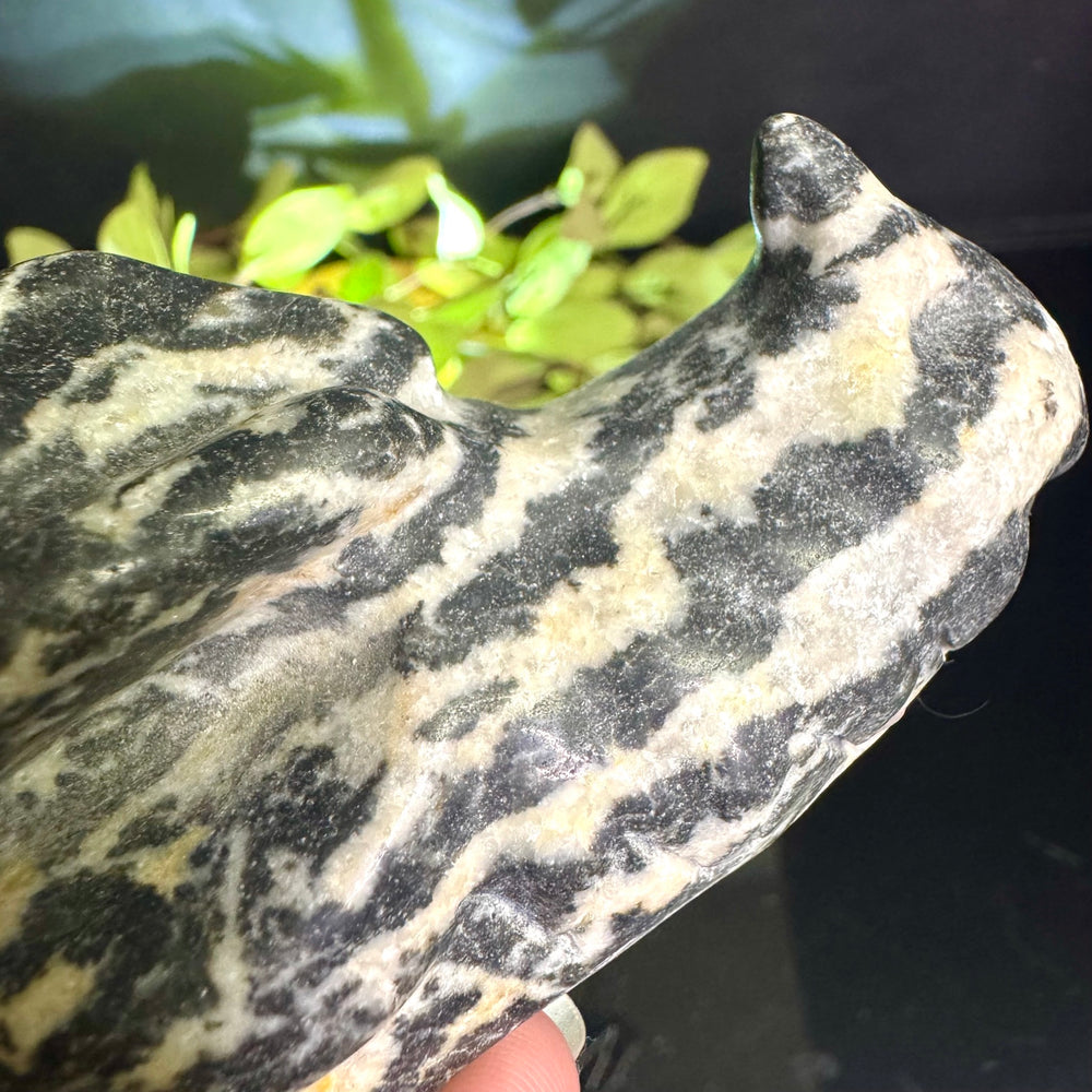 Zebra Jasper Carved Dragon Head