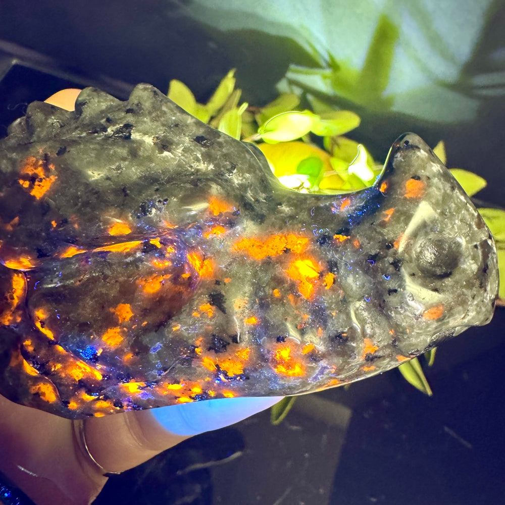 Emberlite Carved Dragon Head