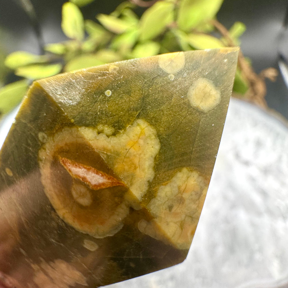 Rainforest Jasper Tower