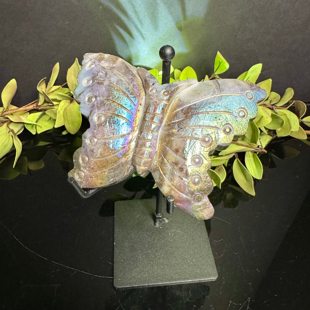 Aura Sphalerite Butterfly with Stand