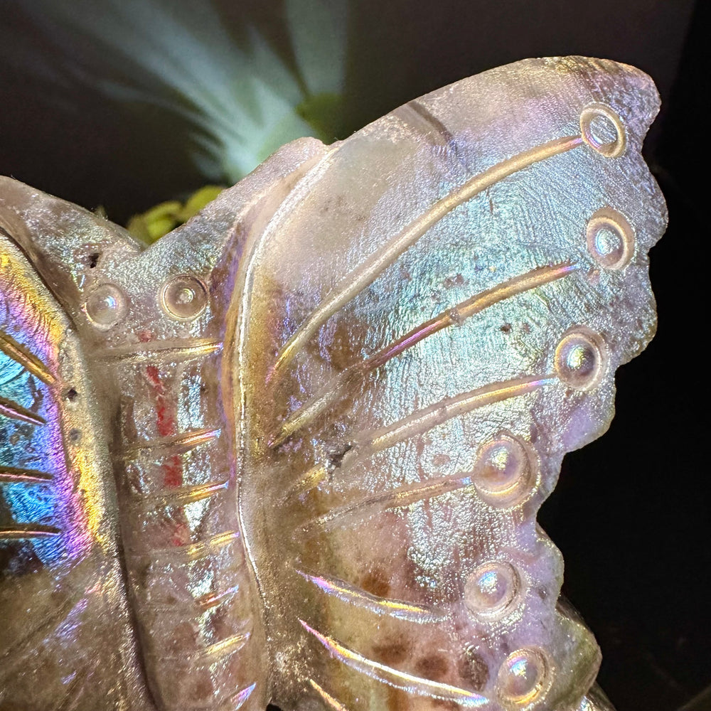 Aura Sphalerite Butterfly with Stand