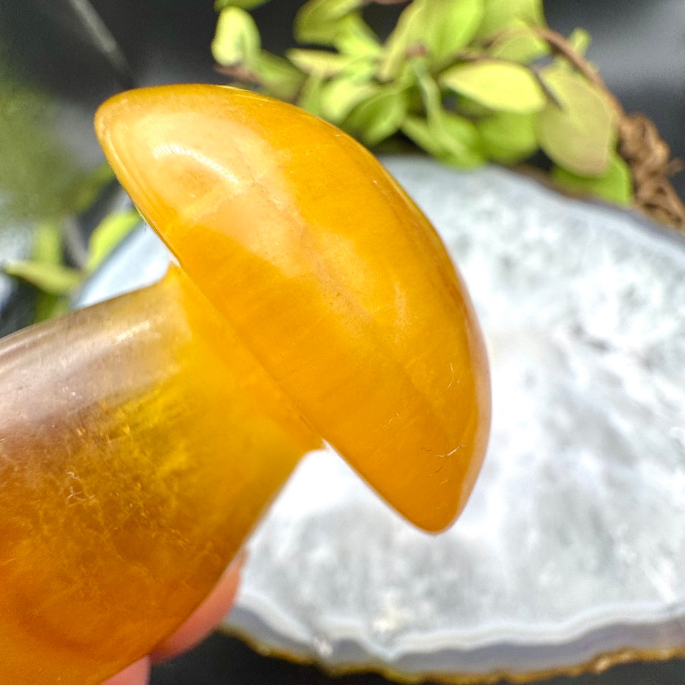 Yellow Fluorite Carved Mushroom