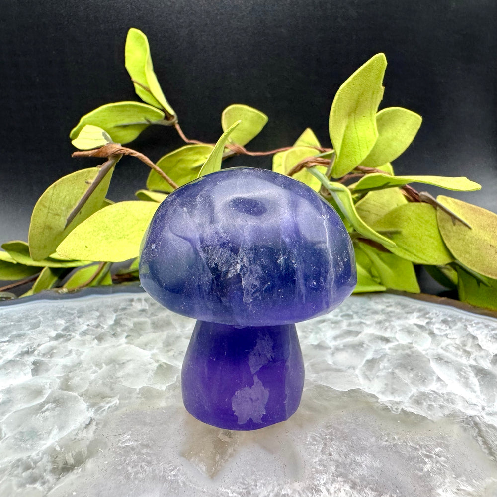Purple Fluorite Carved Mushroom