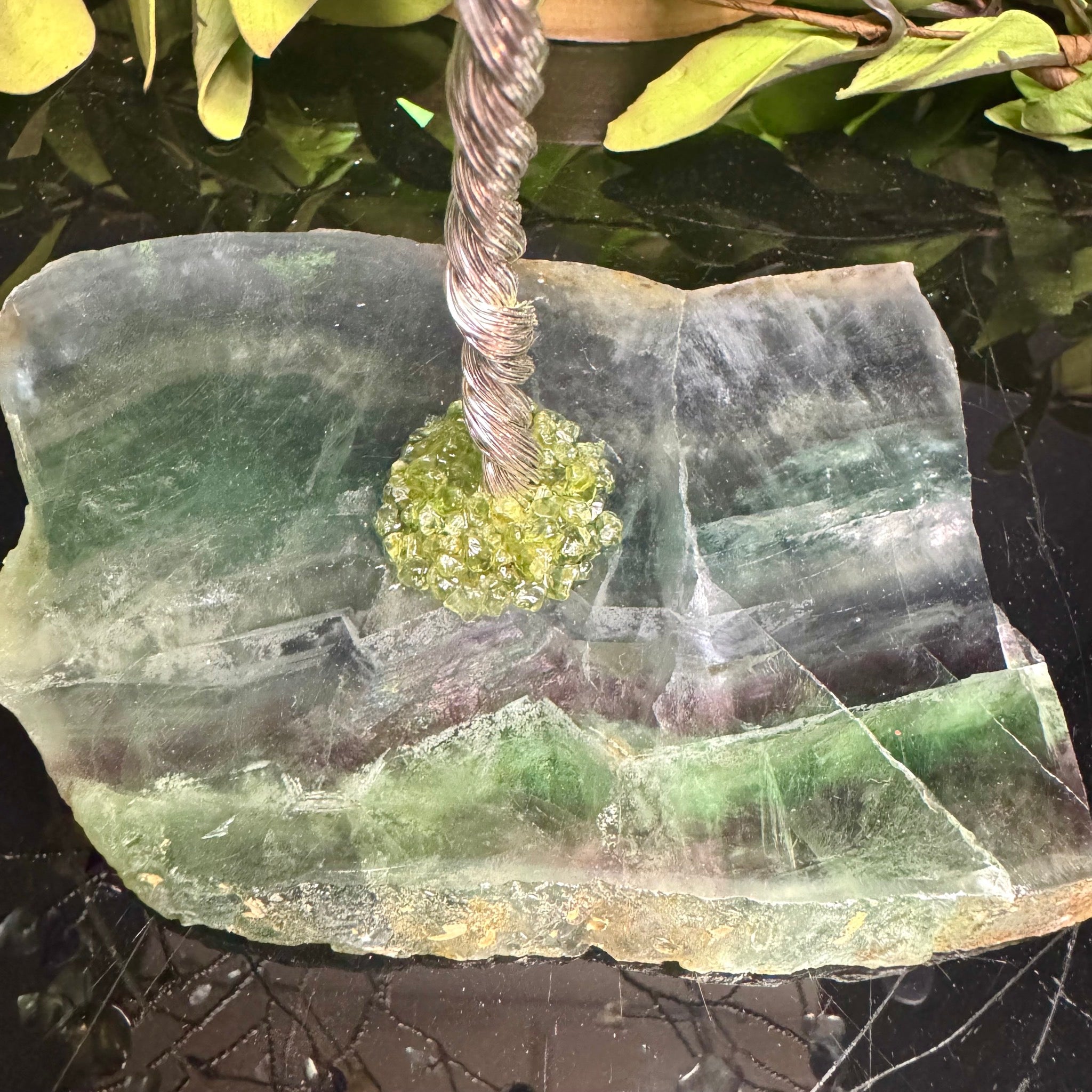 Rainbow Fluorite Mojo Tree