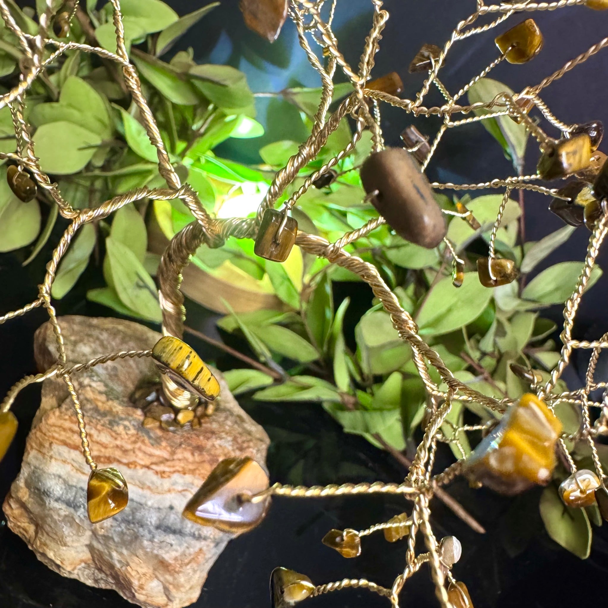 Tigers Eye Mojo Tree