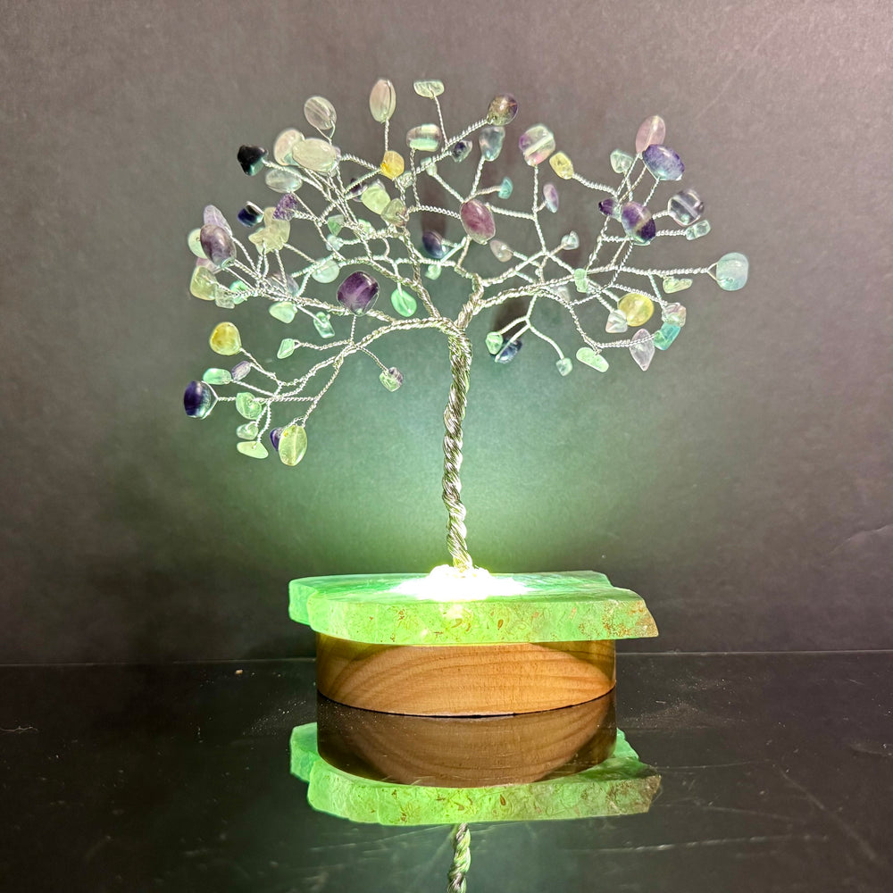 Rainbow Fluorite Mojo Tree