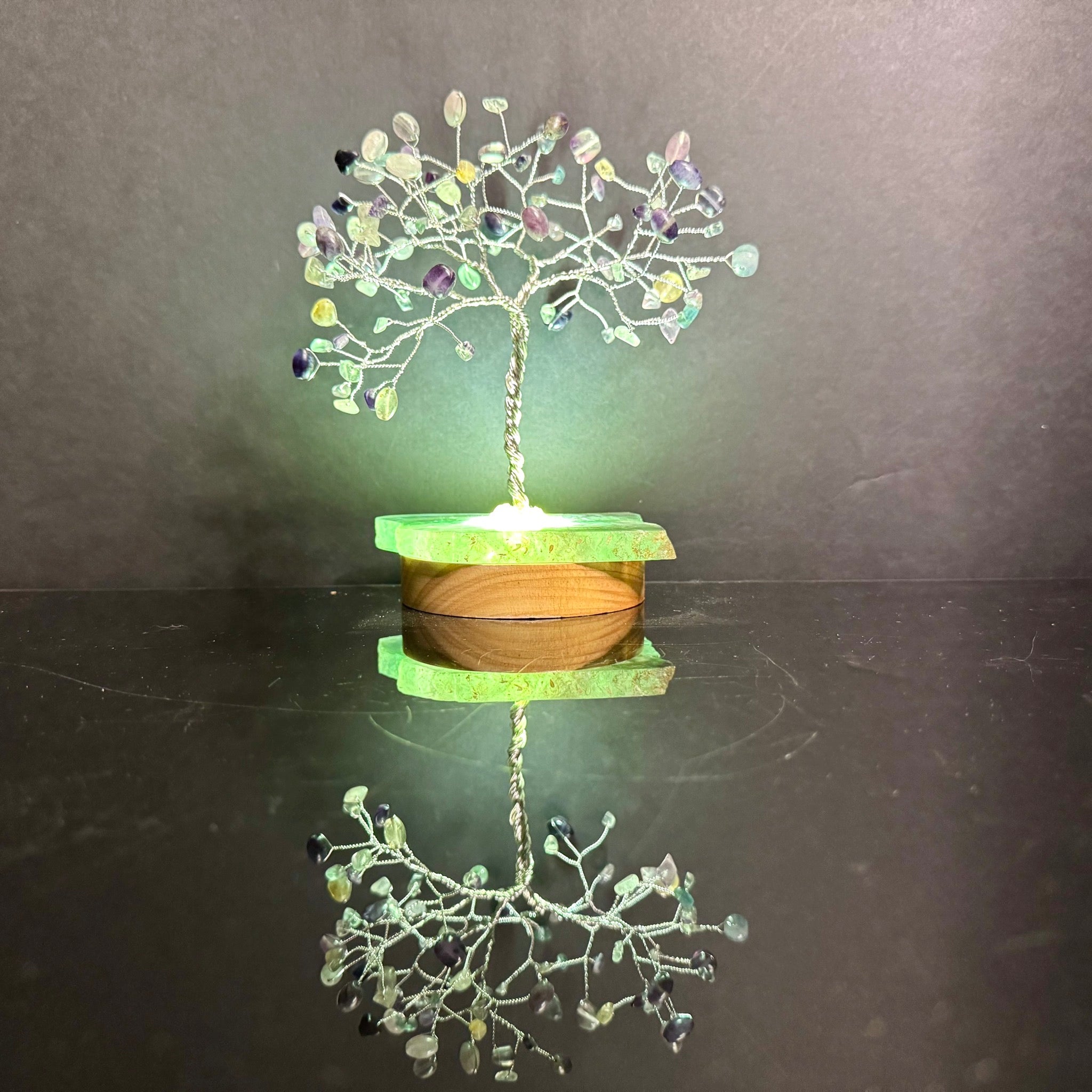 Rainbow Fluorite Mojo Tree