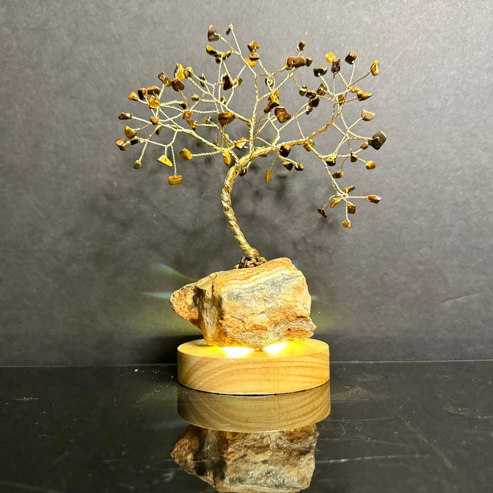 Tigers Eye Mojo Tree