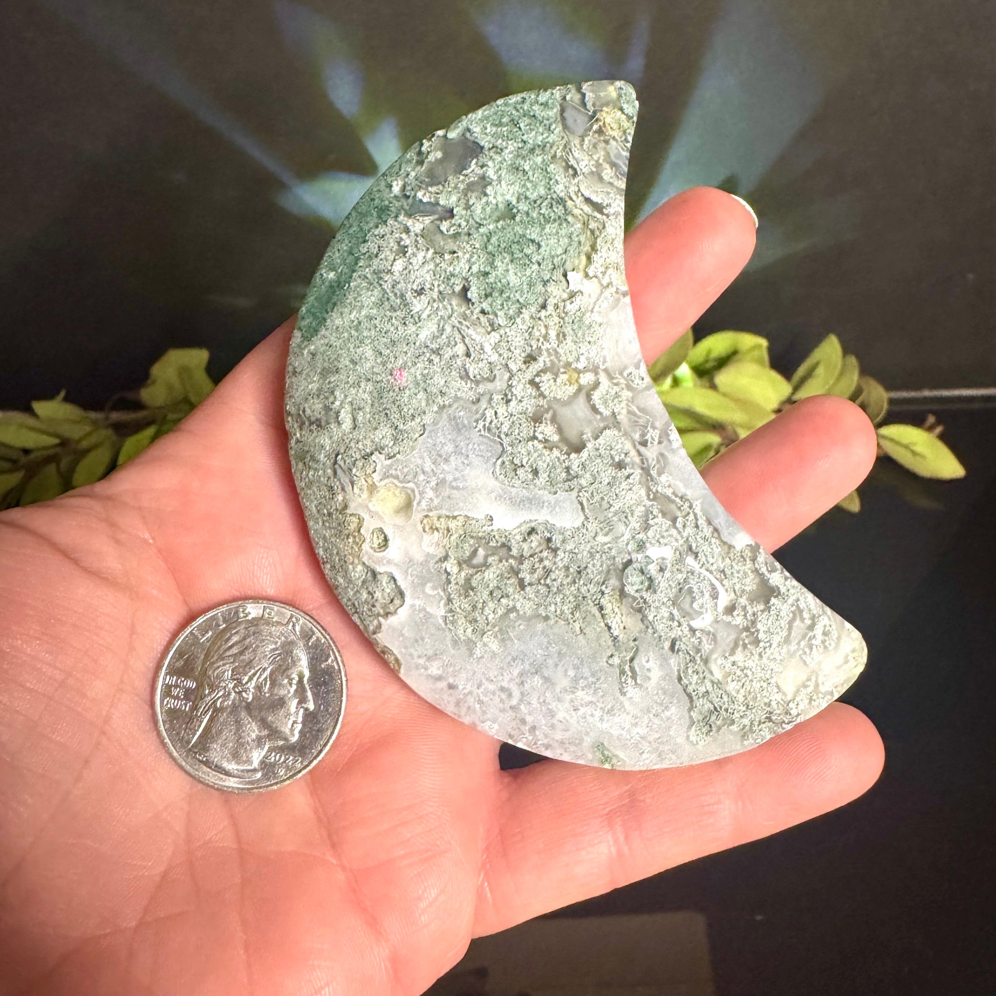 Moss Agate Moon Carving