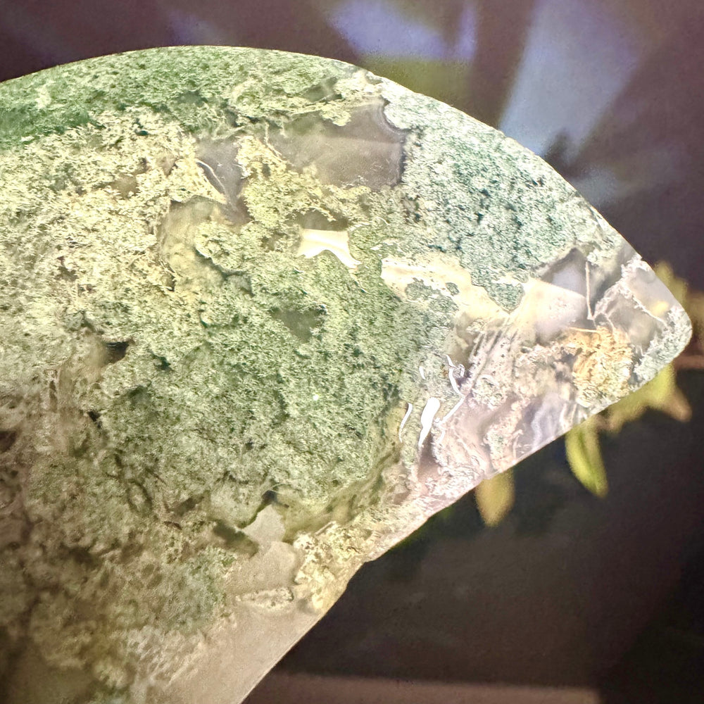Moss Agate Moon Carving